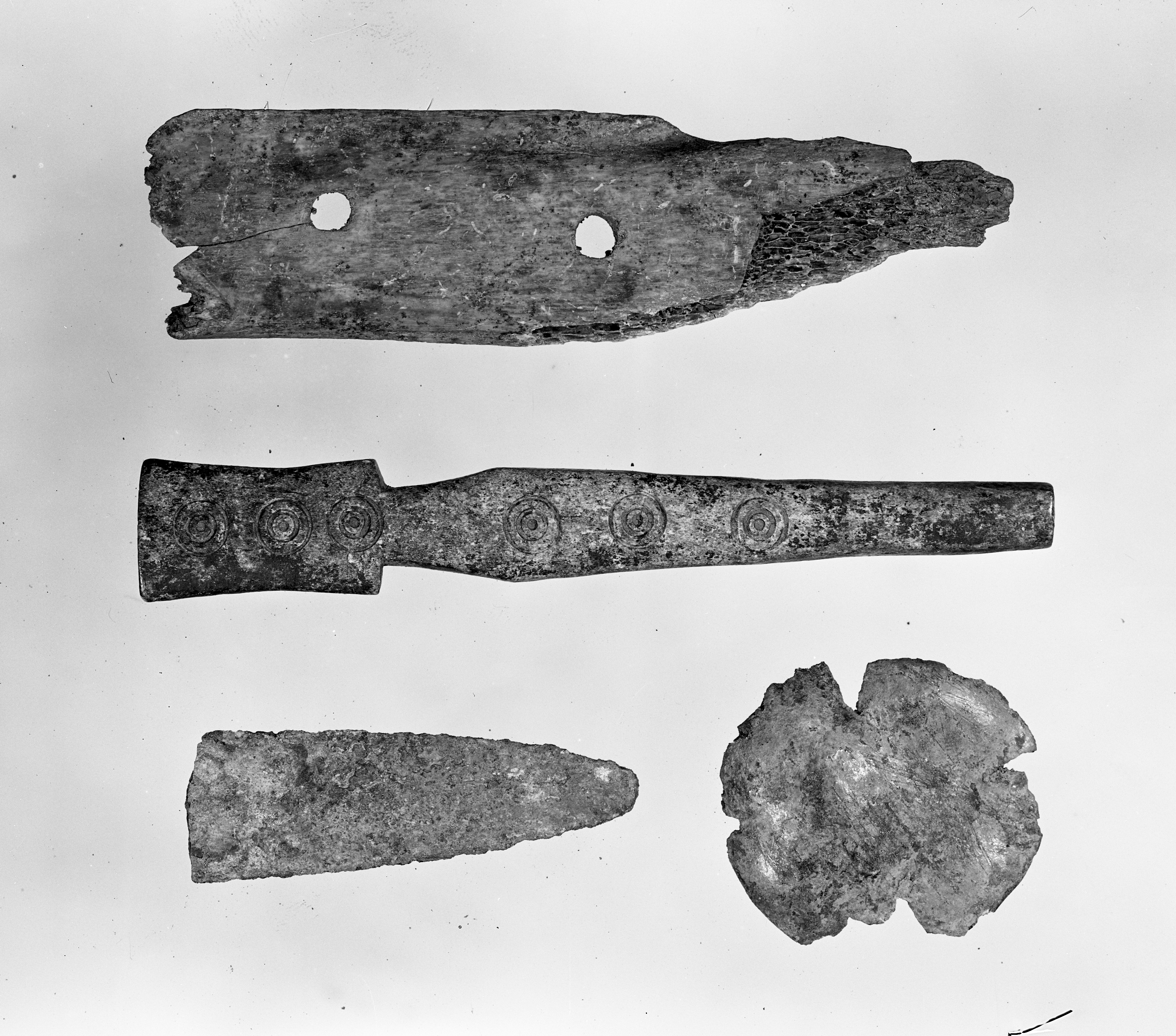 Gallo di Castel S. Pietro (lastra) di Anonimo (prima metà XX)