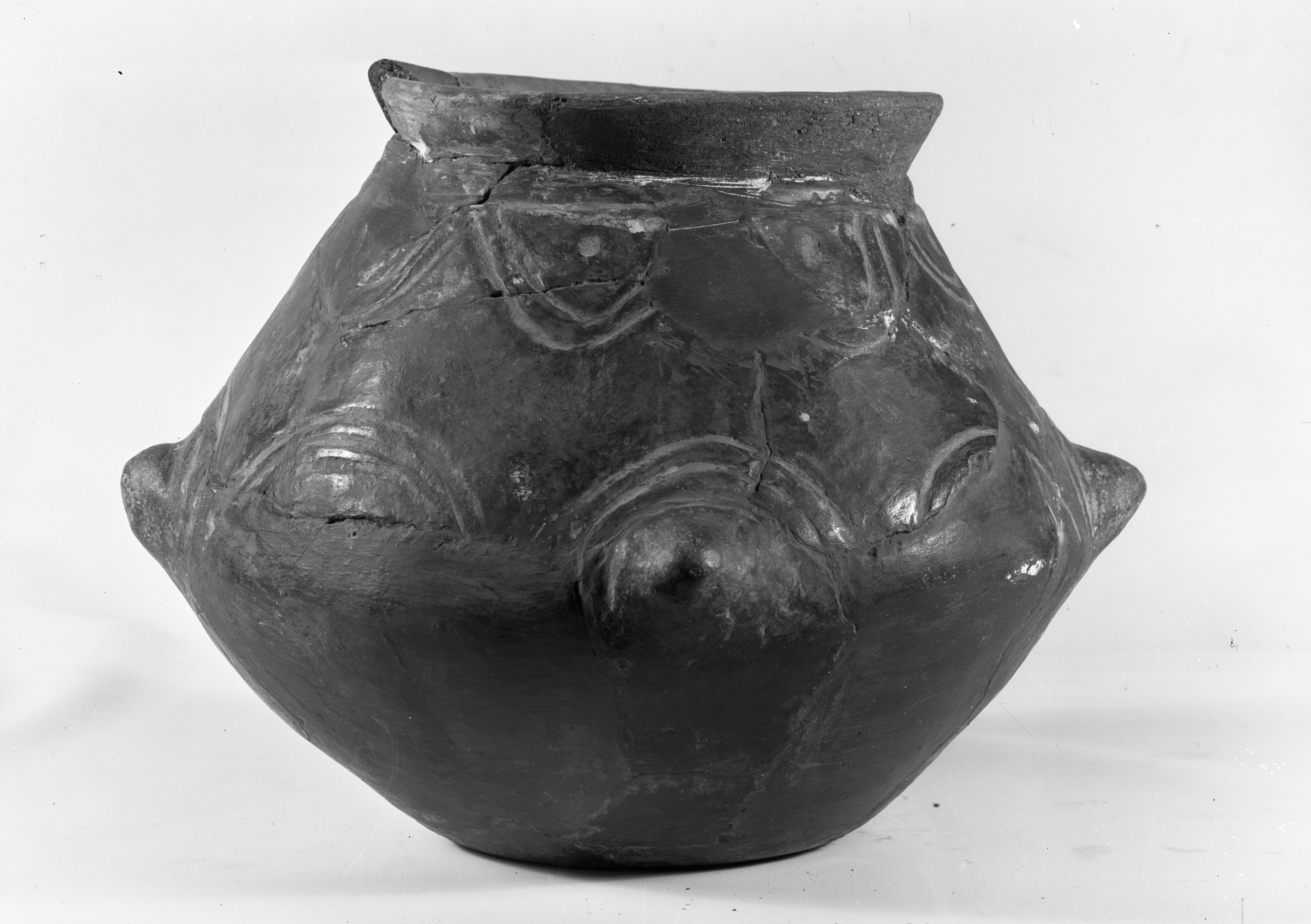 Borgo Panigale. Museo civico (lastra) di Anonimo (prima metà XX)