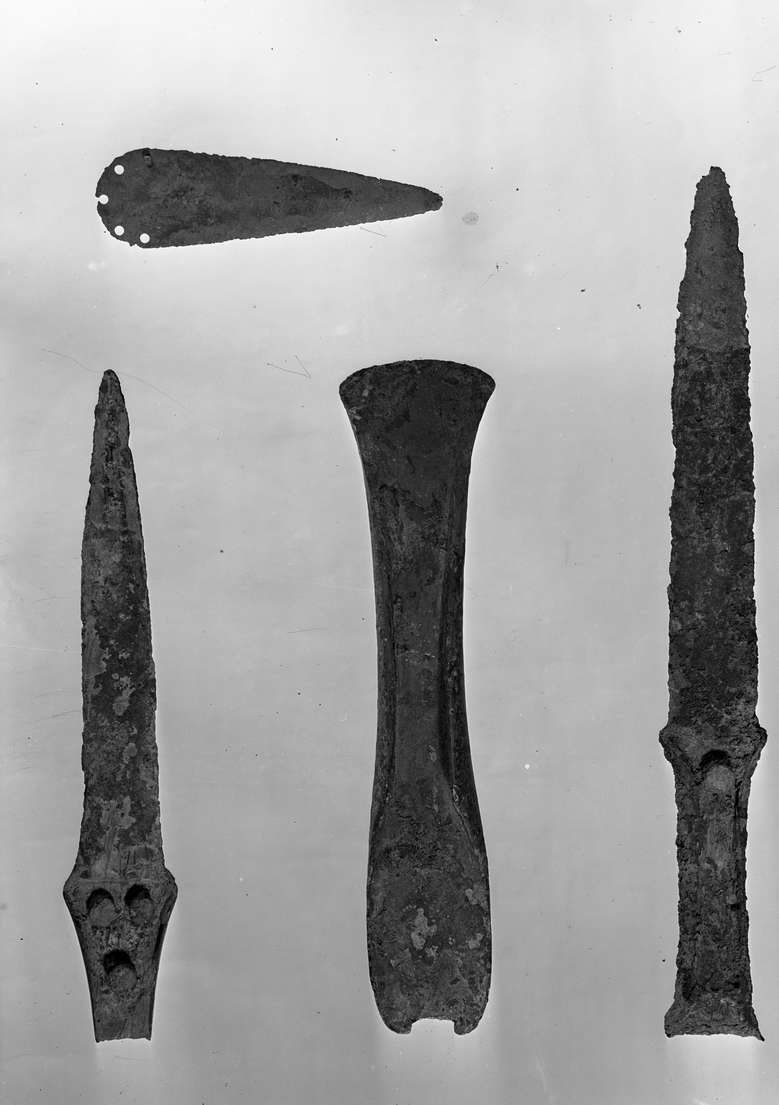 Bologna. Museo civico (lastra) di Anonimo (prima metà XX)