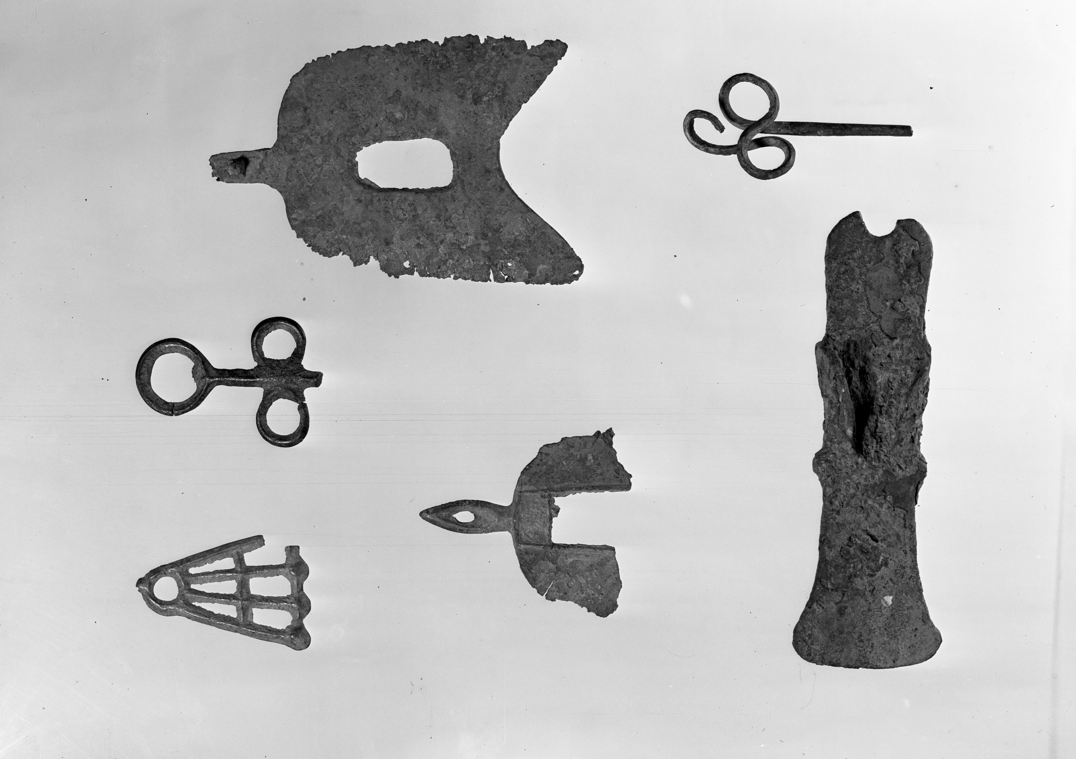 Bologna. Museo civico (lastra) di Anonimo (prima metà XX)