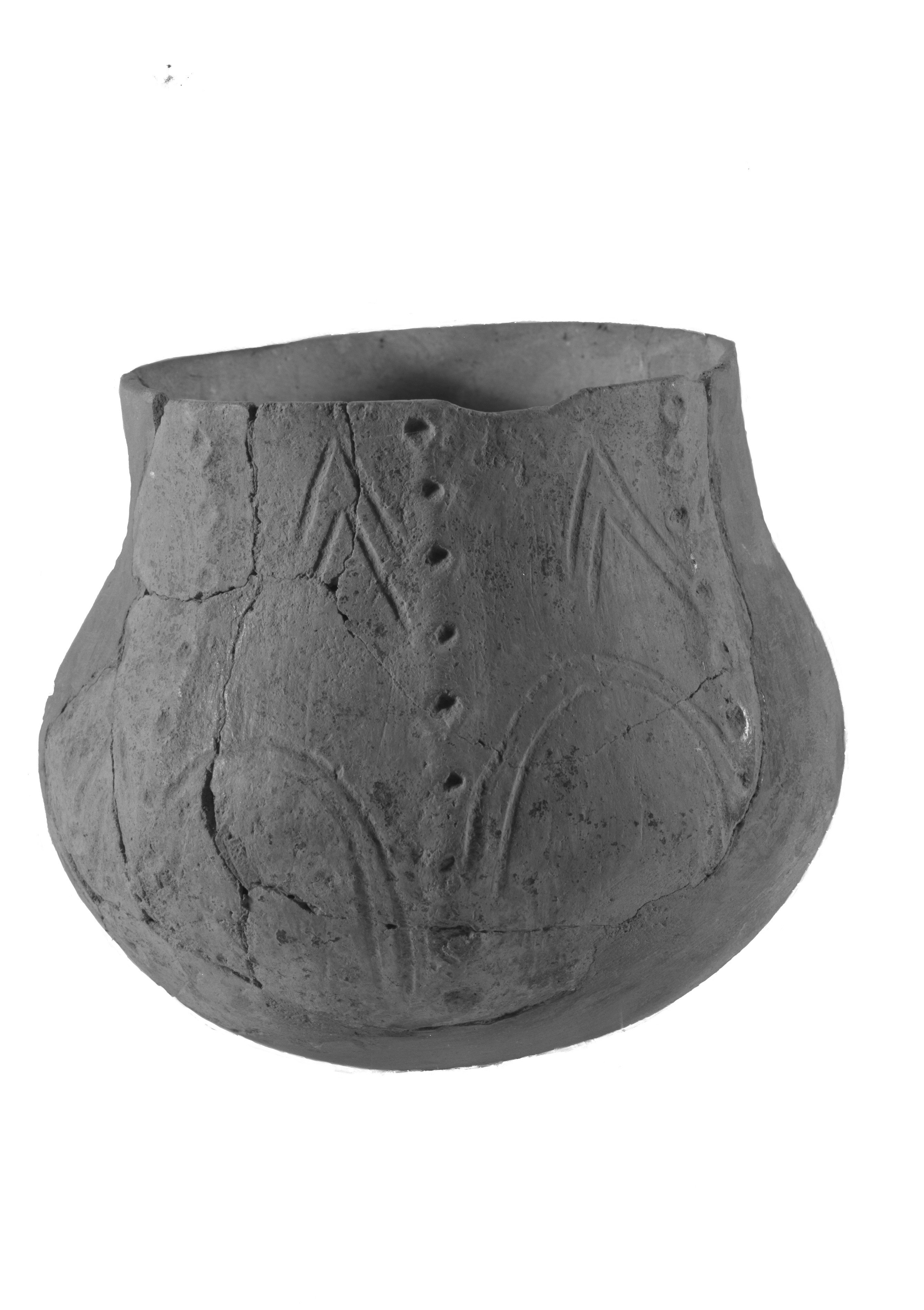 Modena. Coll. Malavolti (lastra) di Anonimo (prima metà XX)