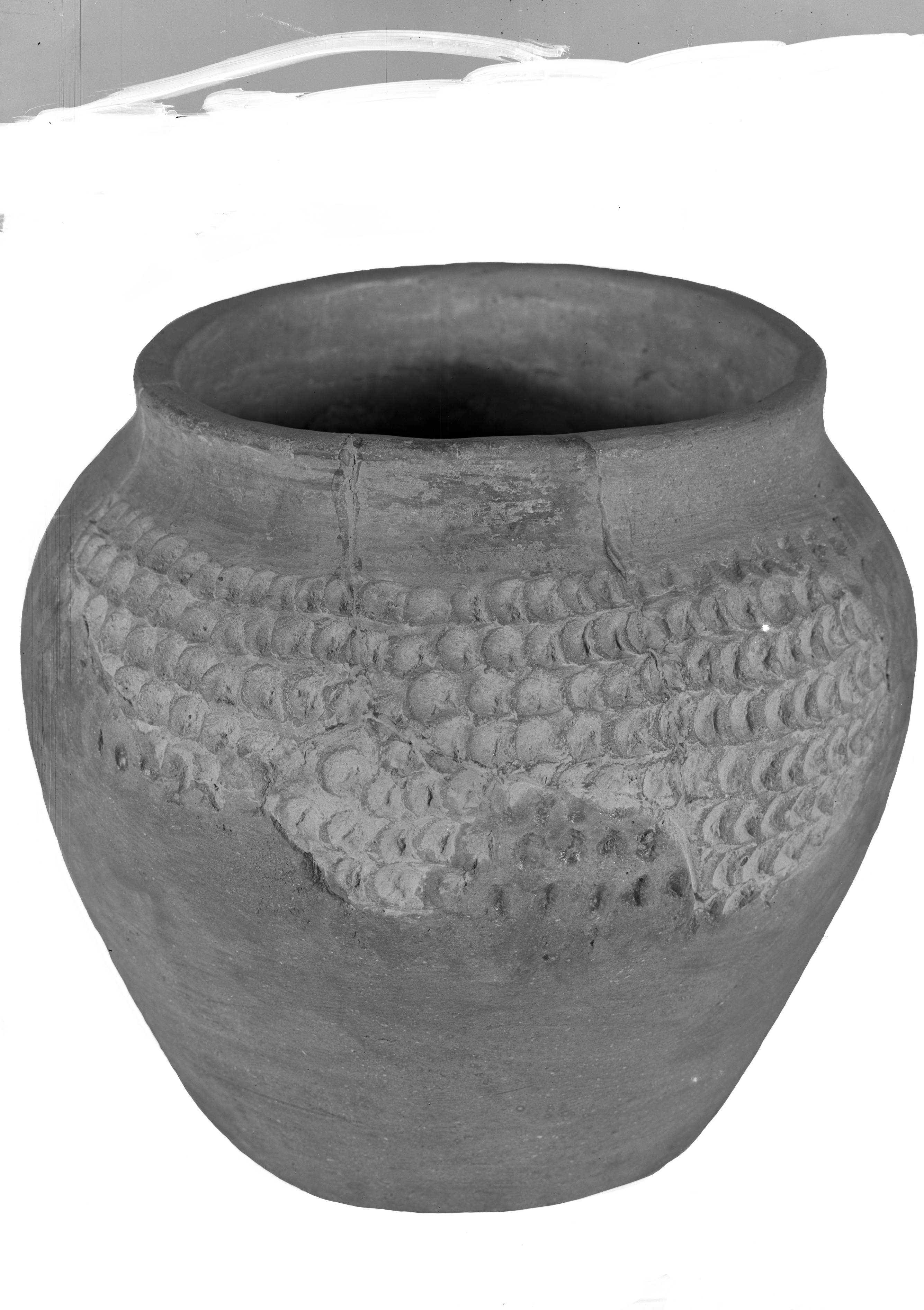 Bologna. Museo civico (lastra) di Anonimo (prima metà XX)