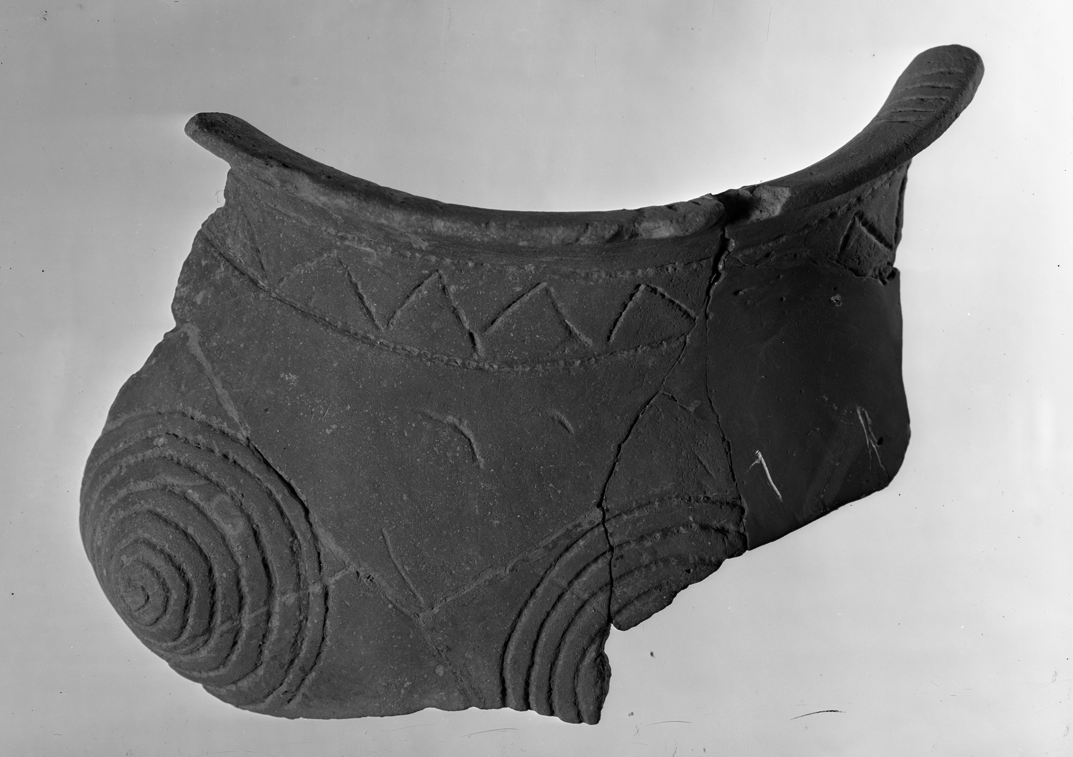 Bologna. Museo civico (lastra) di Anonimo (prima metà XX)