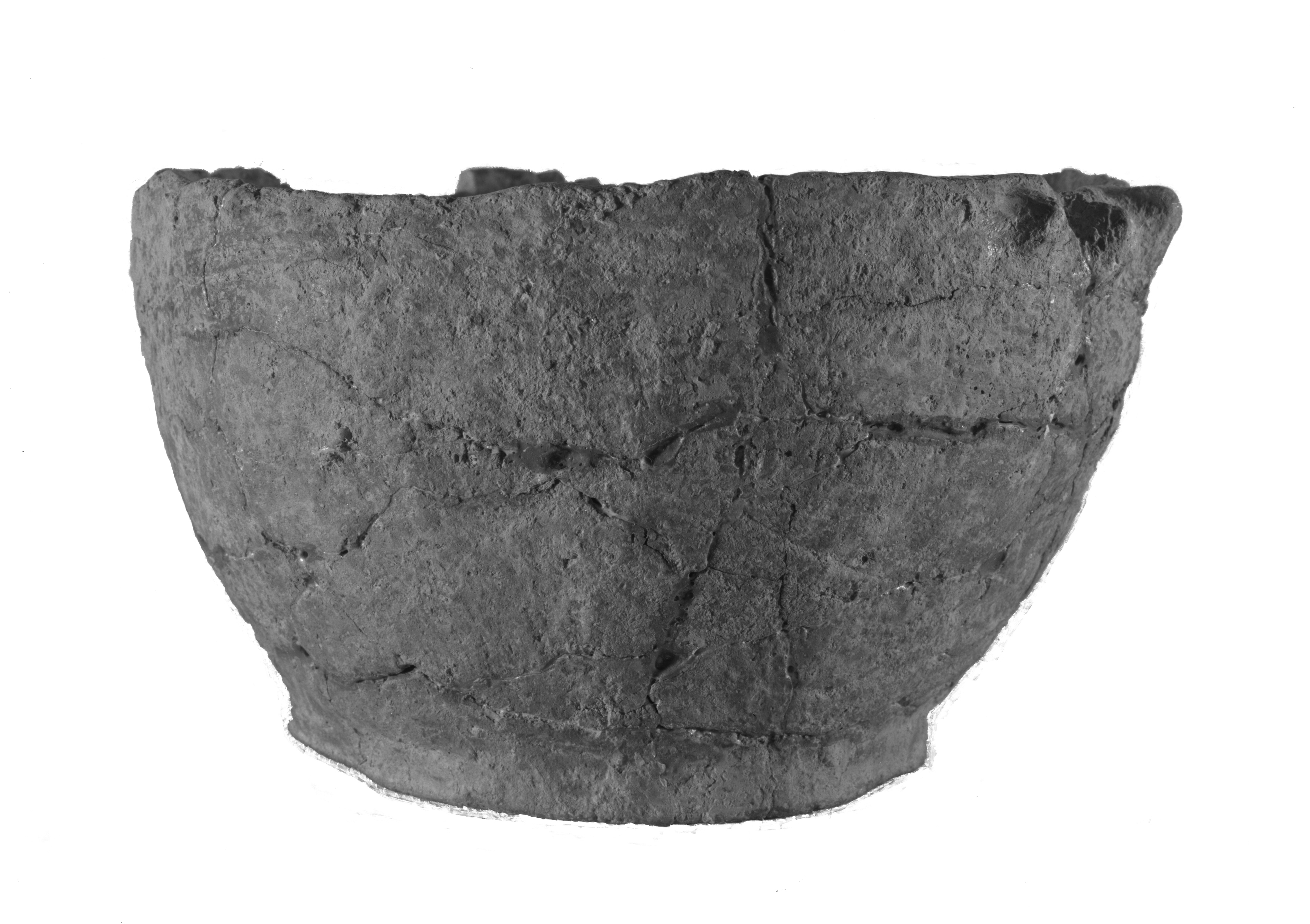 Modena. Coll. Malavolti (lastra) di Anonimo (prima metà XX)