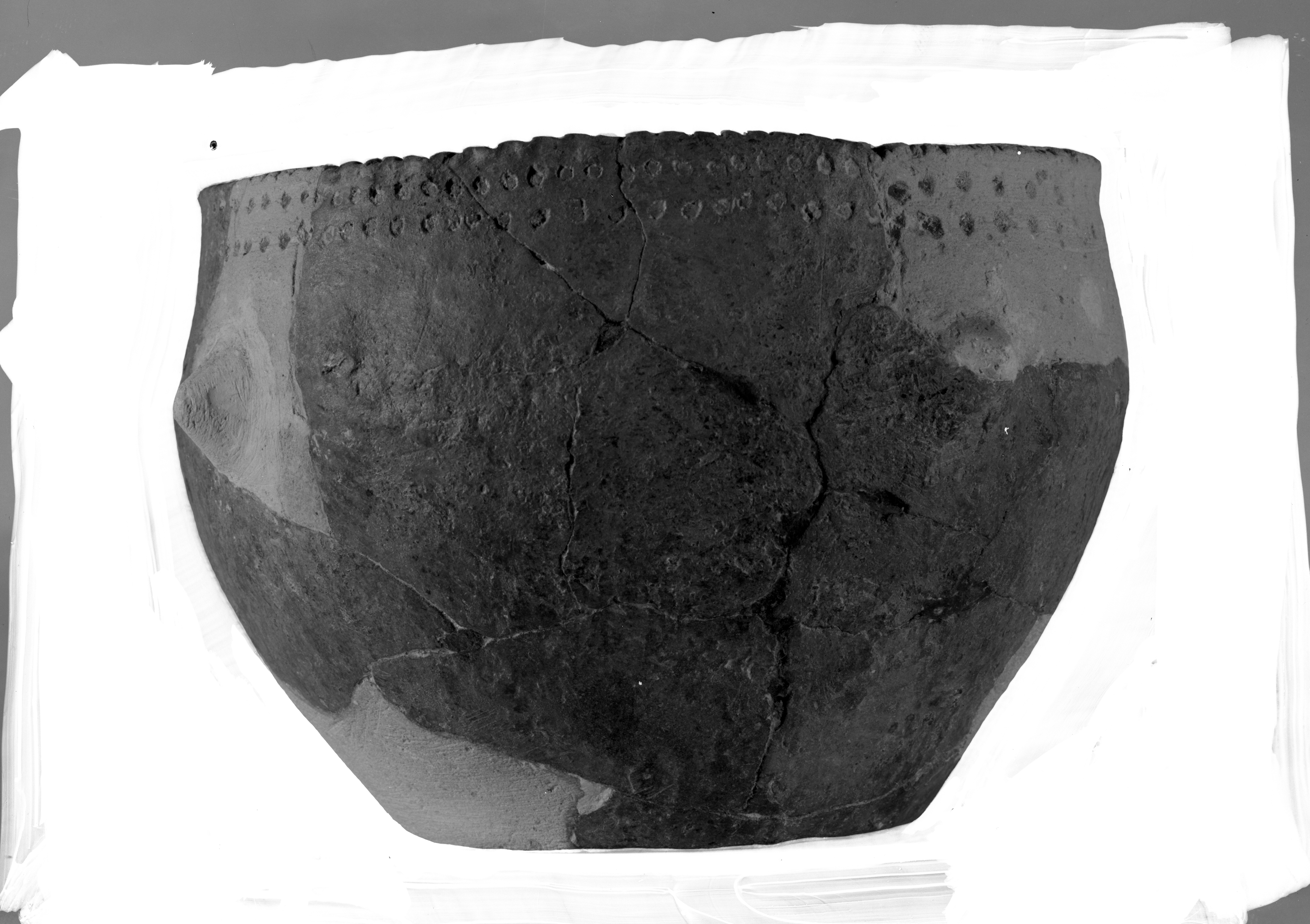 Modena. Coll. Malavolti (lastra) di Anonimo (prima metà XX)