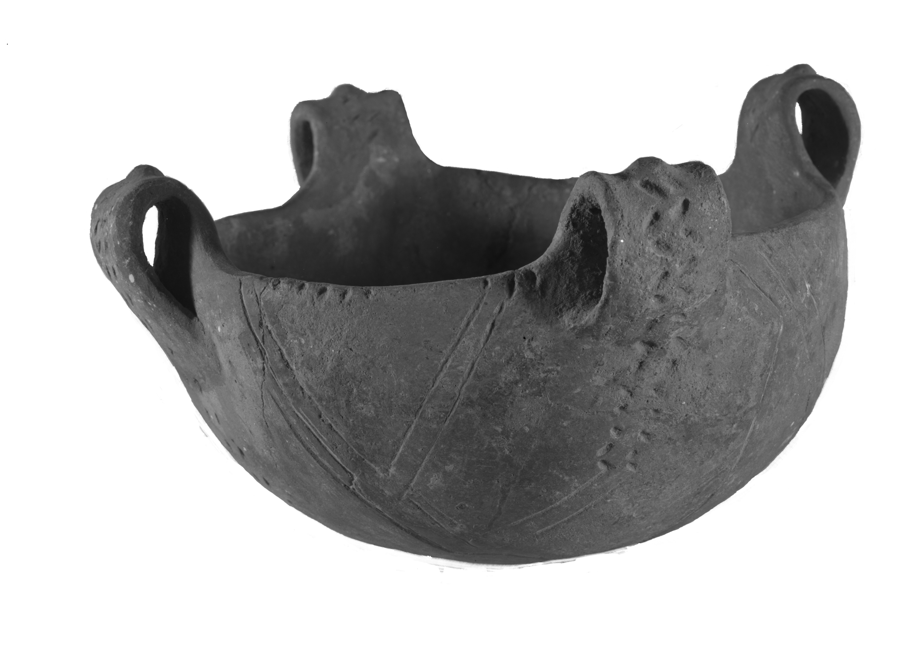 Modena. Coll. Malavolti (lastra) di Anonimo (prima metà XX)