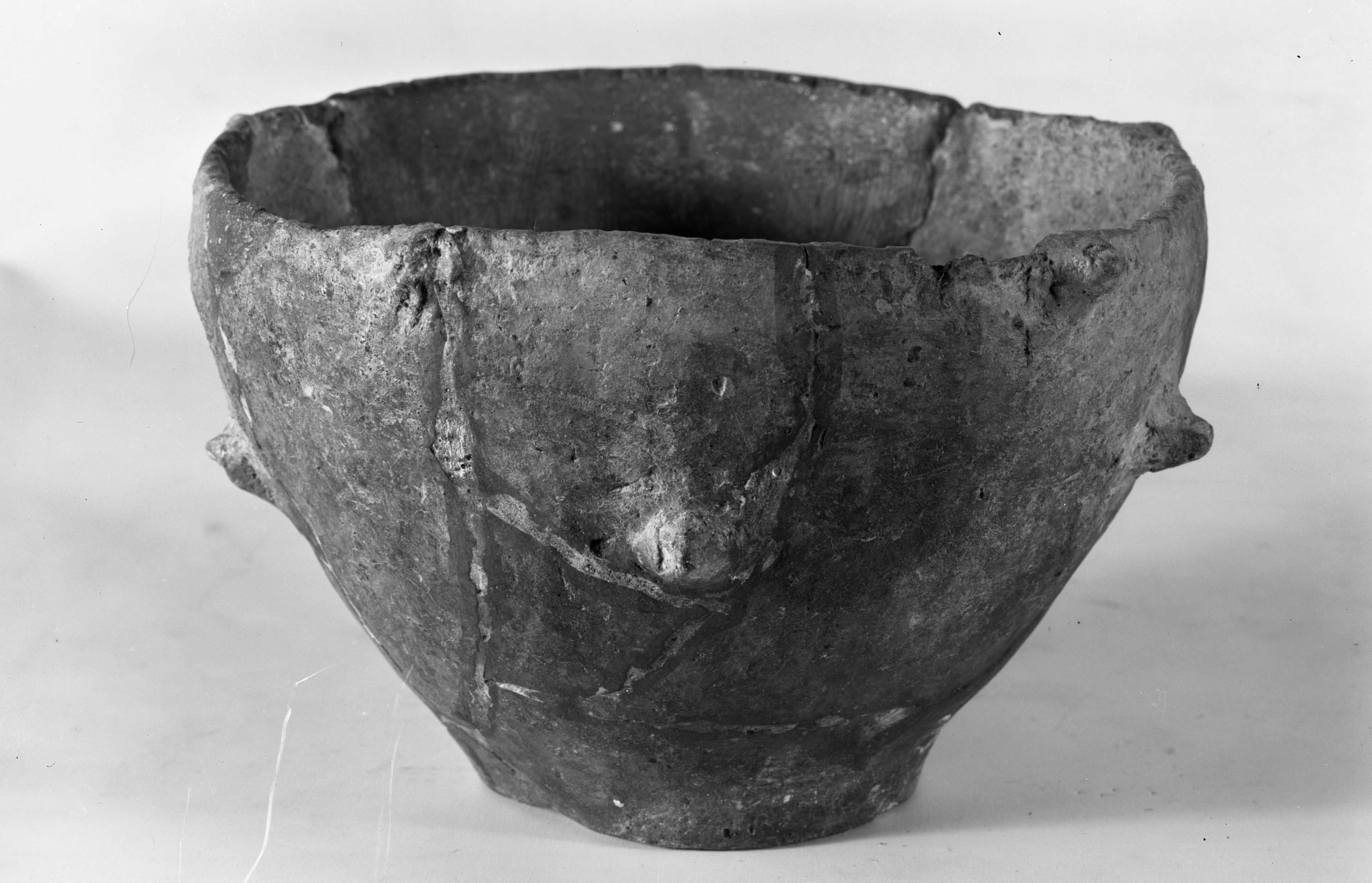 Modena. Coll. Malavolti (lastra) di Anonimo (prima metà XX)