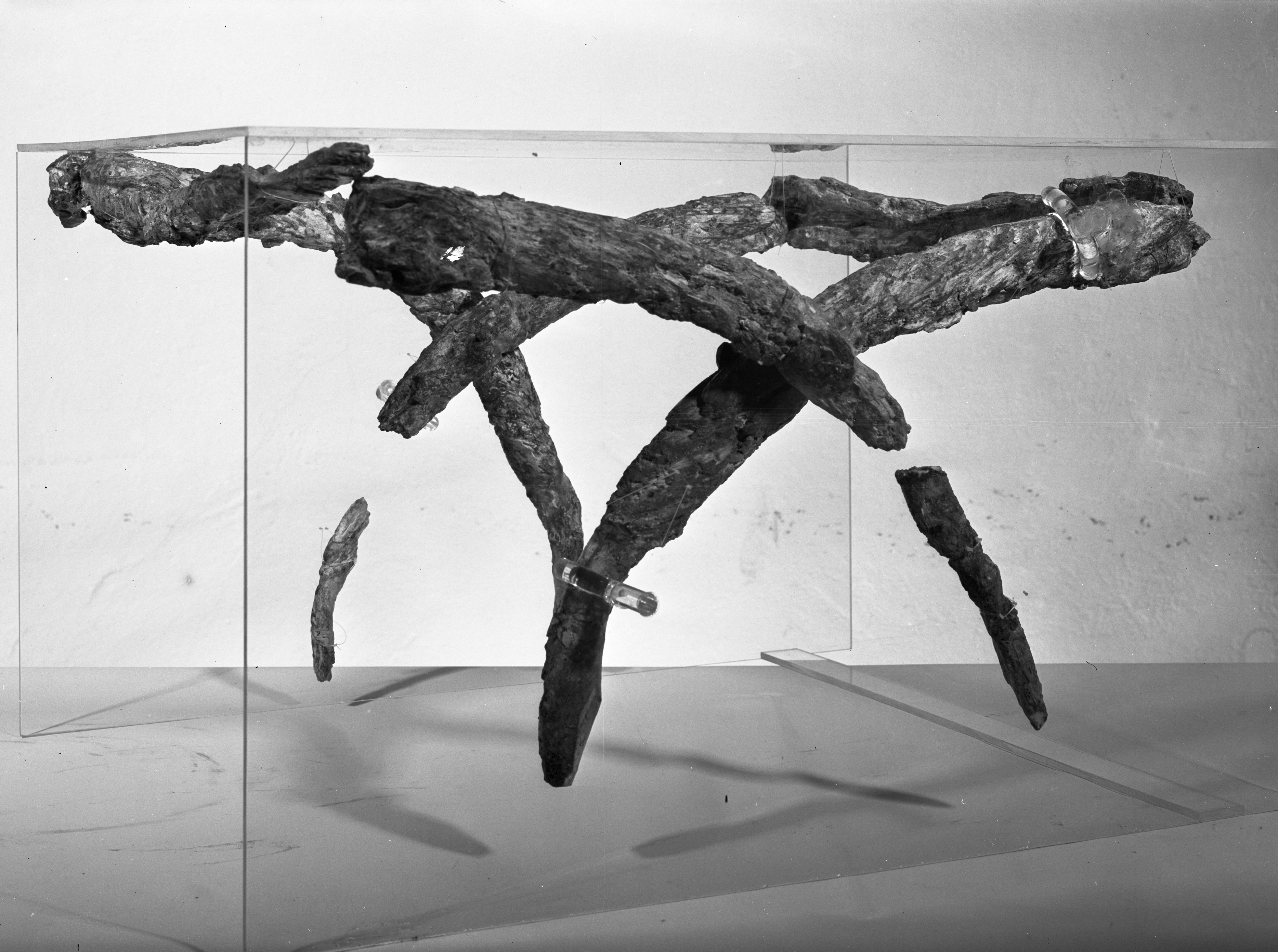 Bologna. Museo civico (lastra) di Anonimo (prima metà XX)