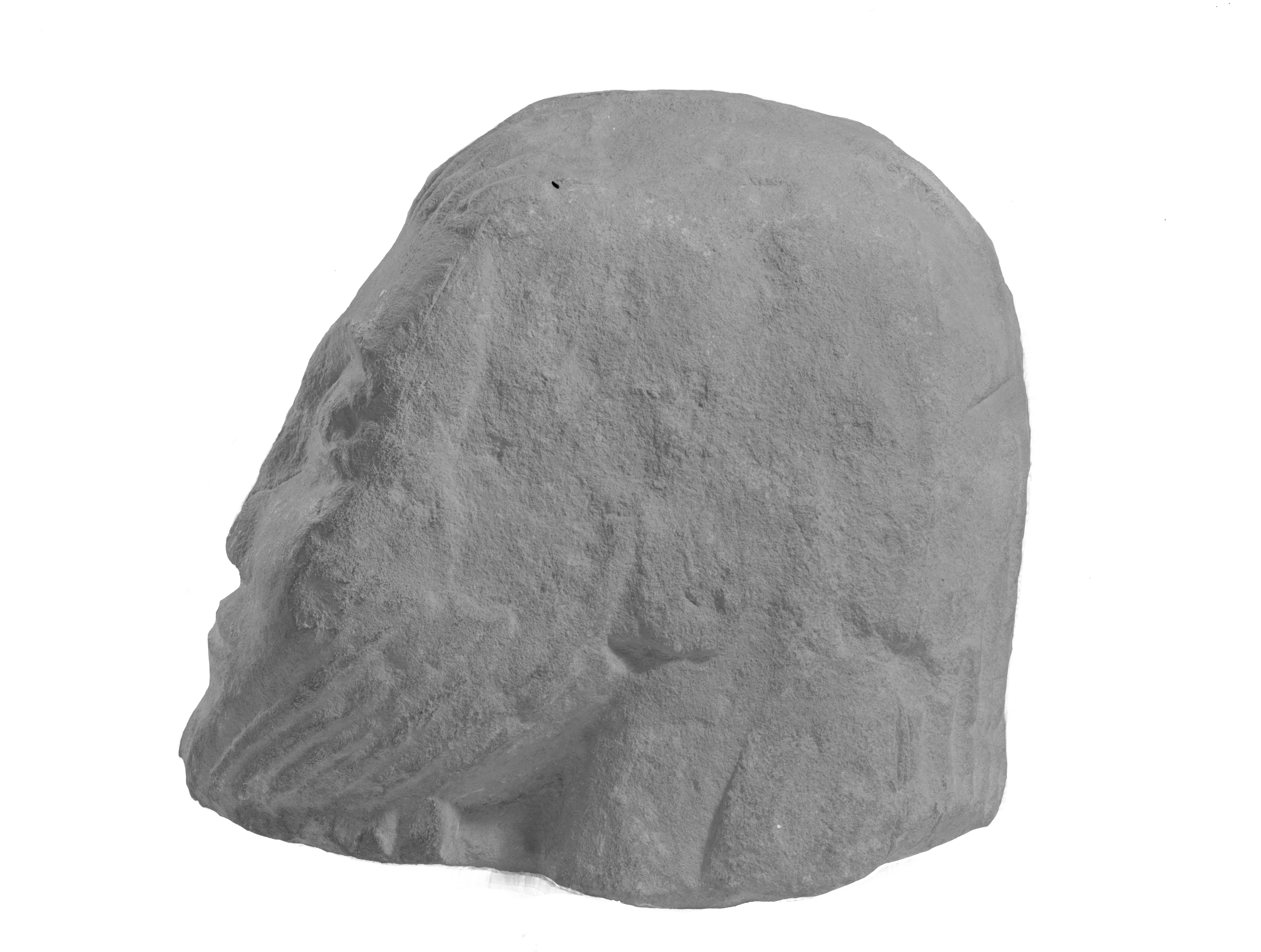 Bologna. Museo civico (lastra) di Anonimo (prima metà XX)