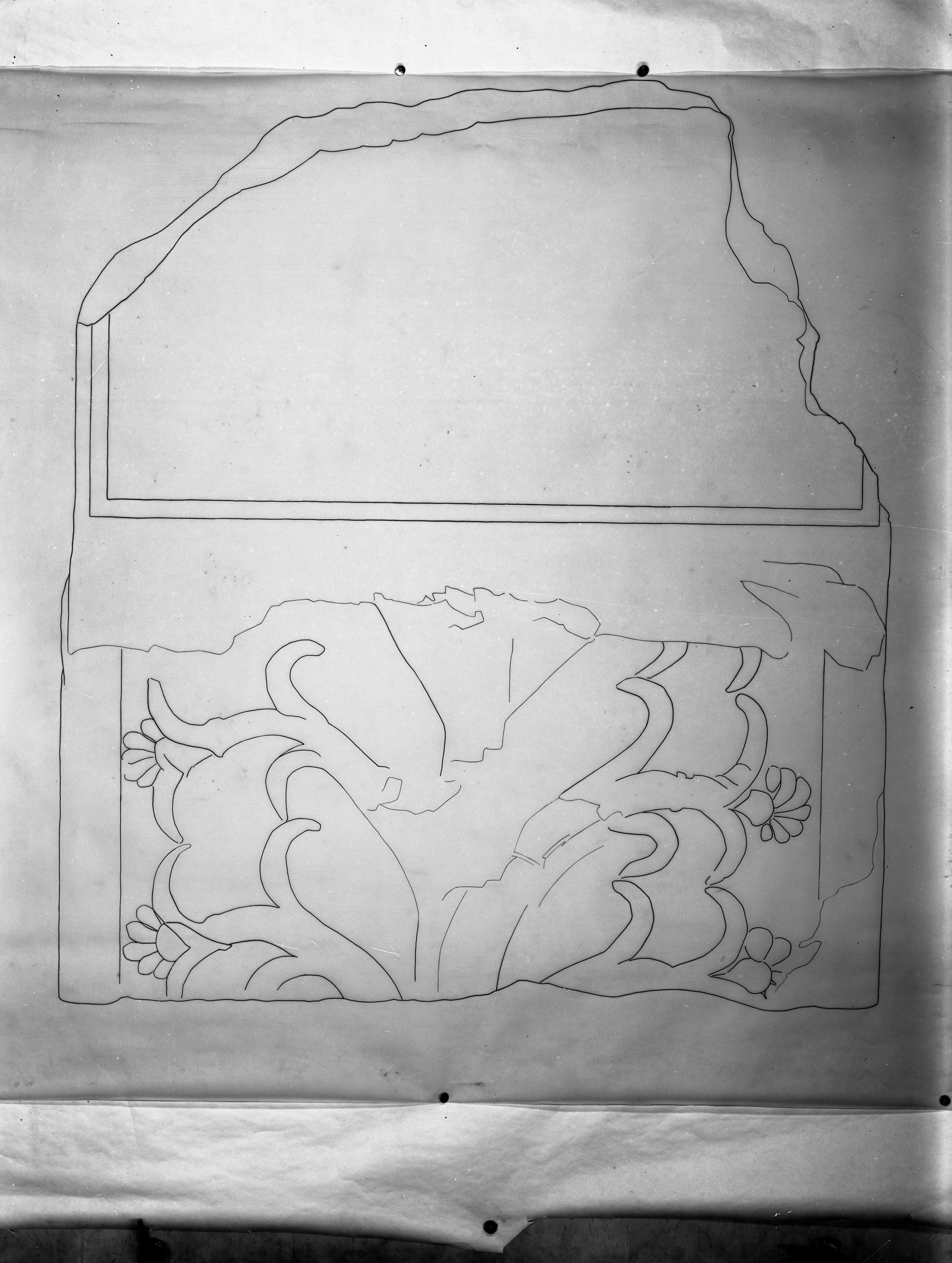 Bologna. Museo civico (lastra) di Anonimo (prima metà XX)