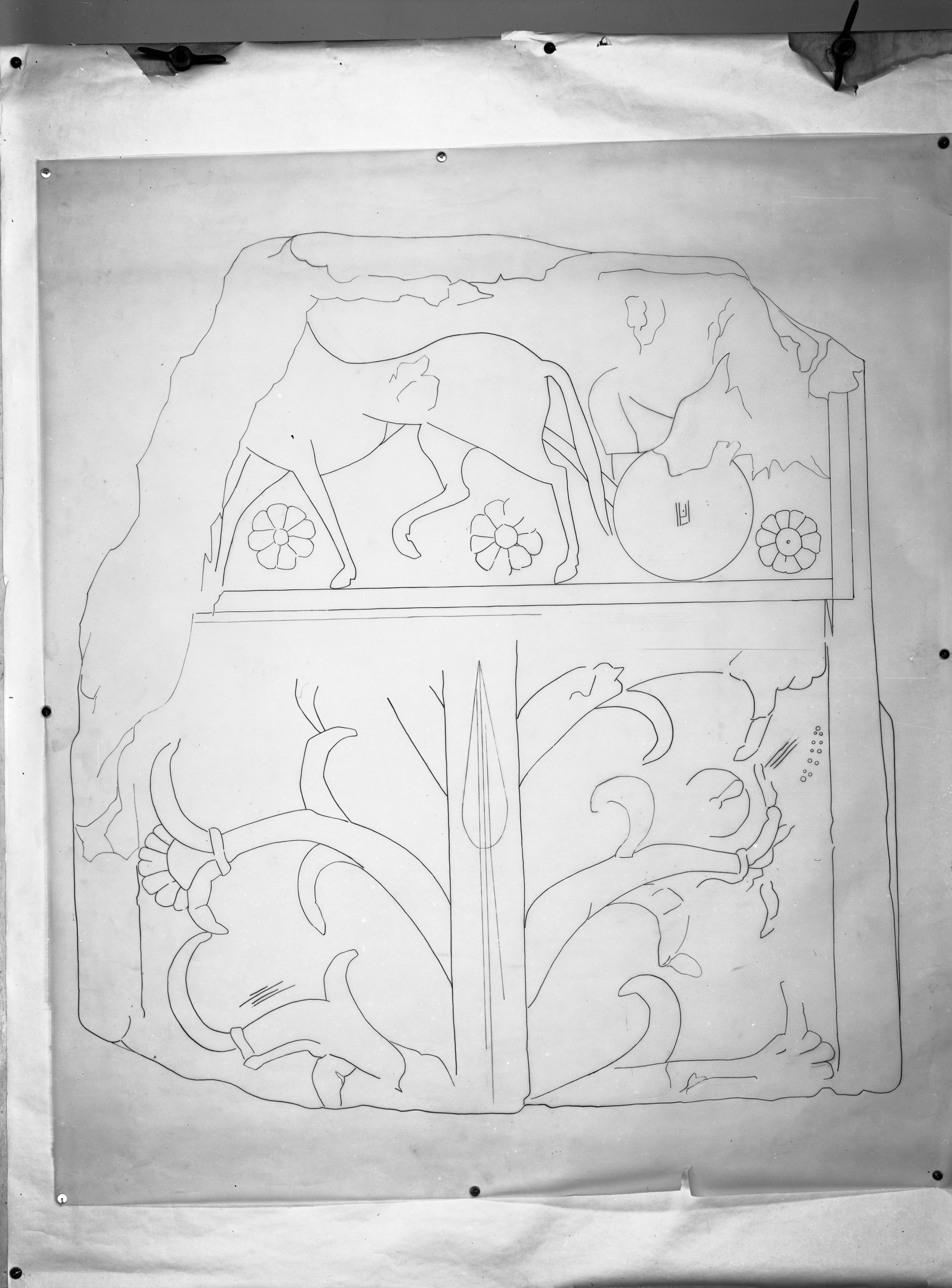 Bologna. Museo civico (lastra) di Anonimo (prima metà XX)