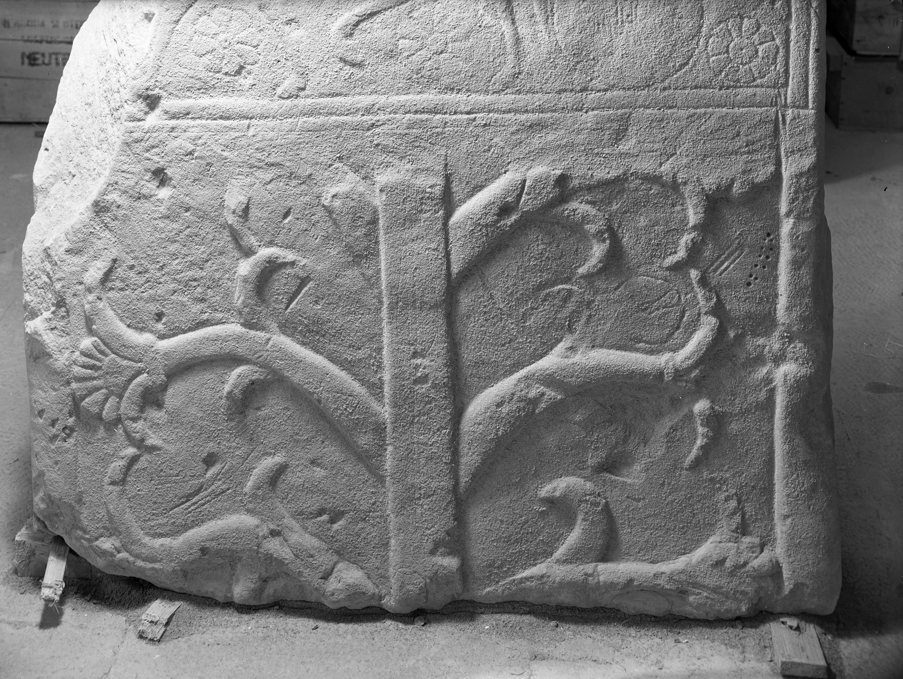 Bologna. Museo civico (lastra) di Anonimo (prima metà XX)