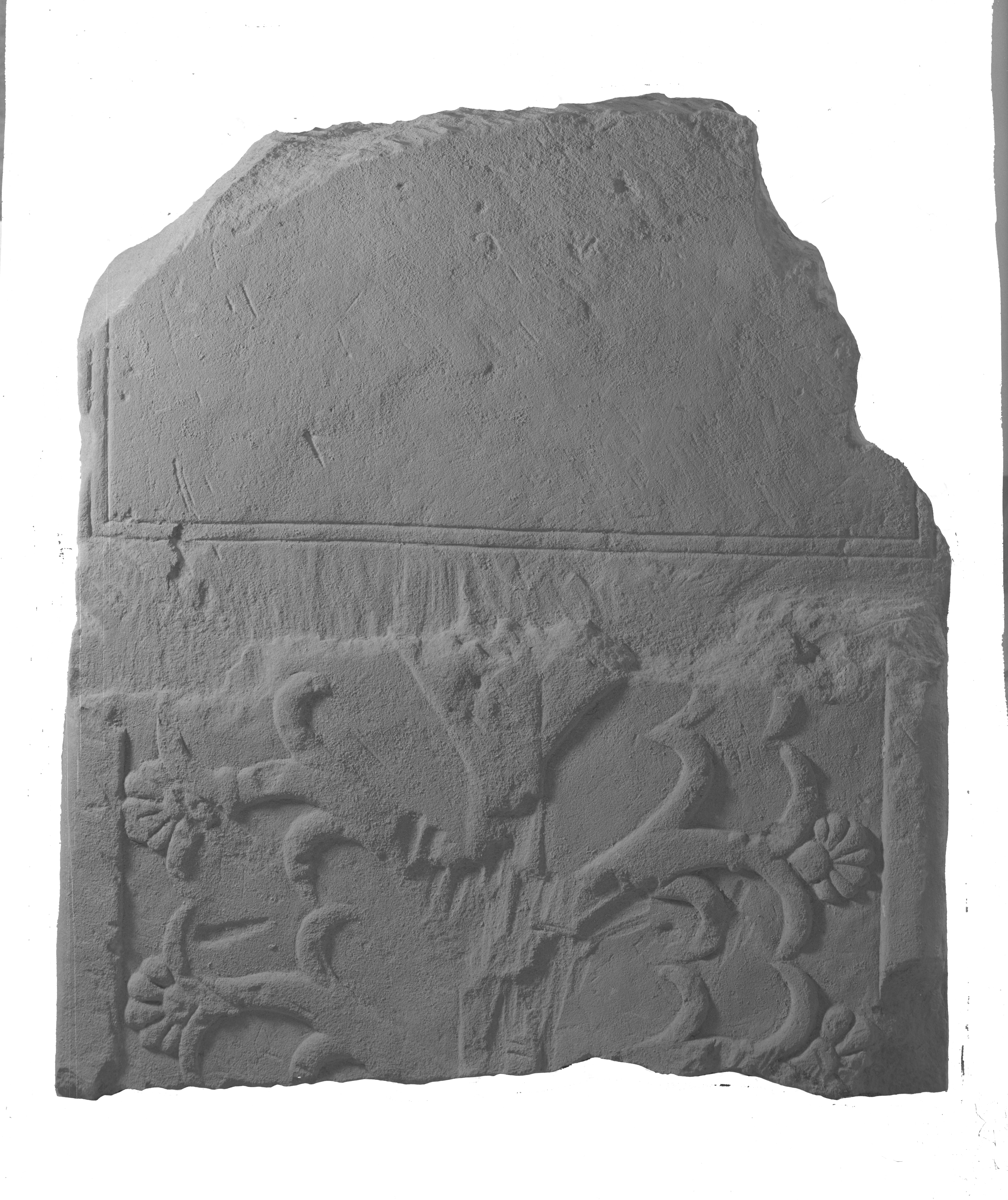 Bologna. Museo civico (lastra) di Anonimo (prima metà XX)