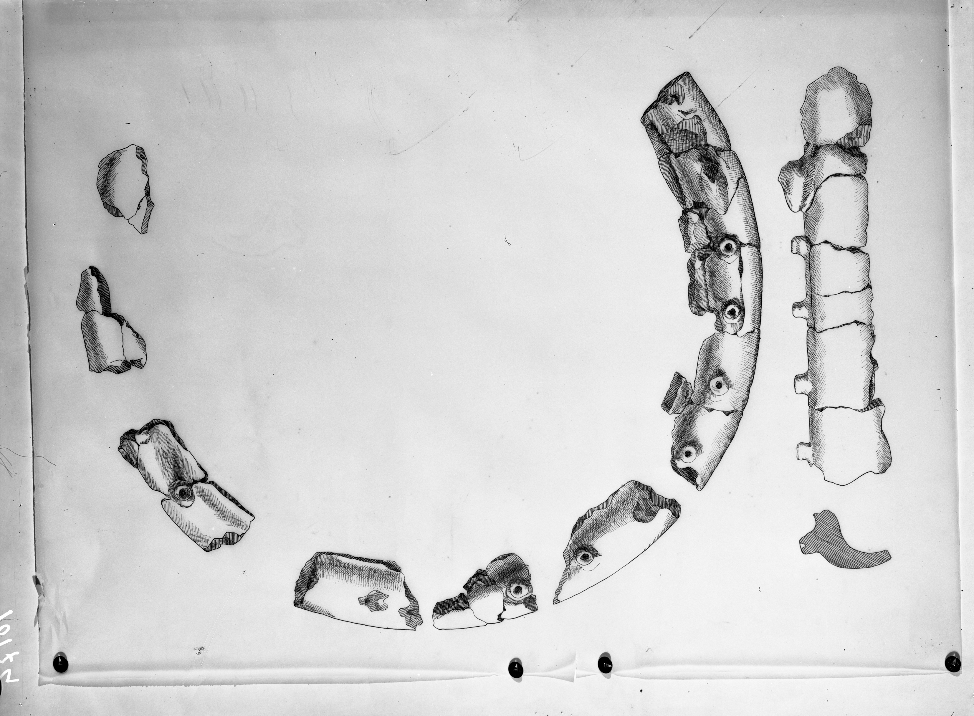 Bologna. Museo civico (lastra) di Anonimo (prima metà XX)