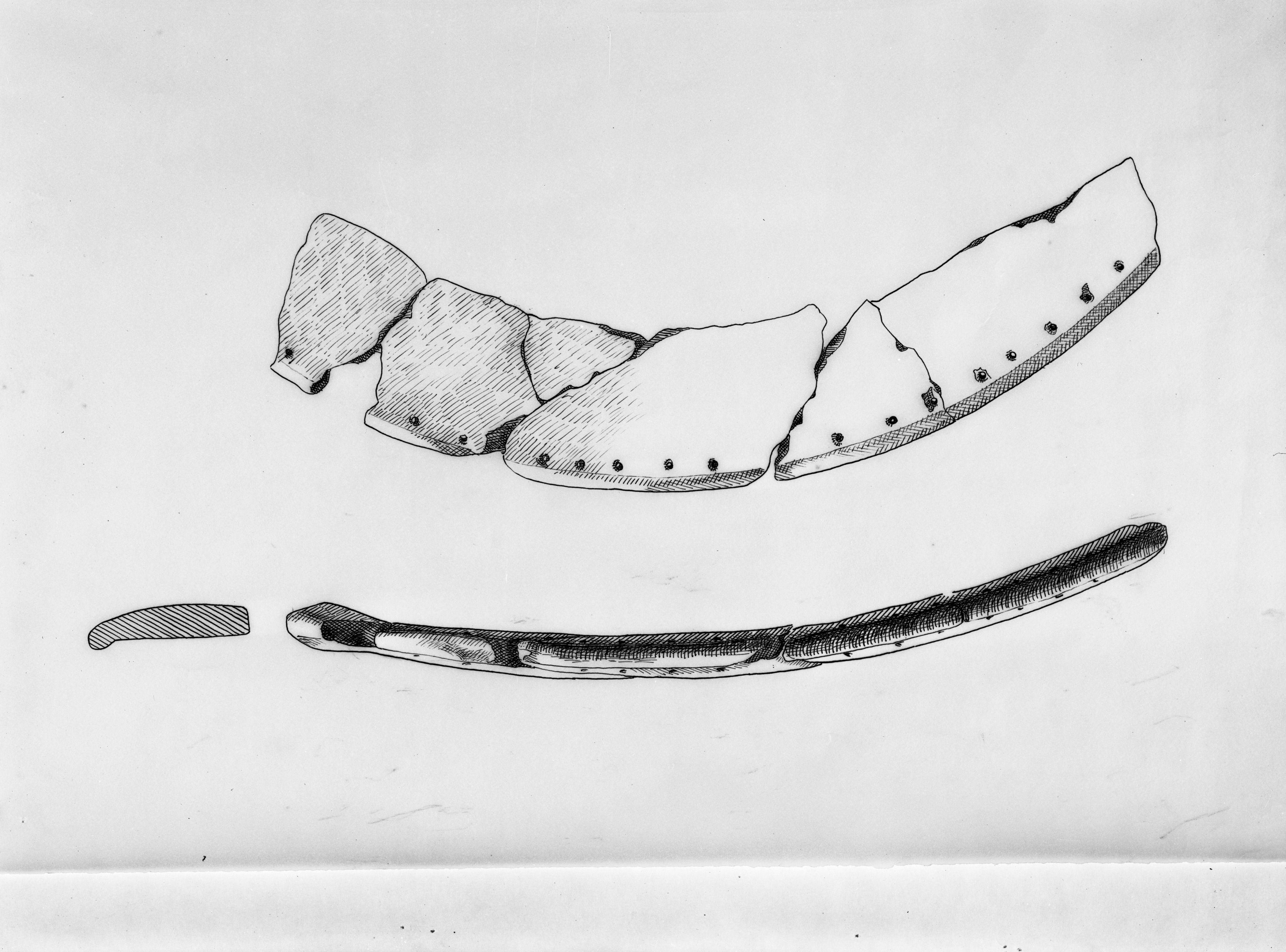 Bologna. Museo civico (lastra) di Anonimo (prima metà XX)