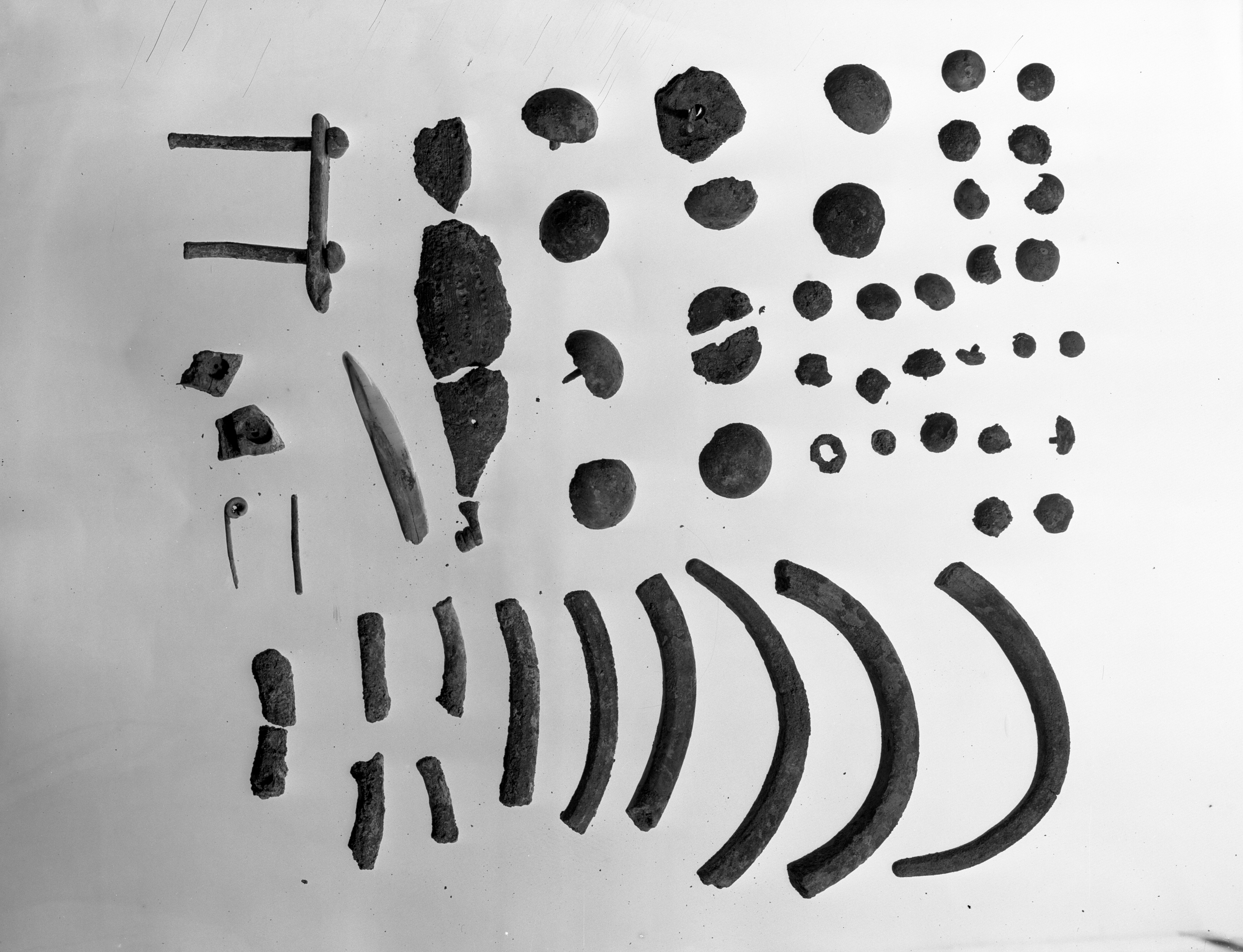 Bologna. Museo civico (lastra) di Anonimo (prima metà XX)