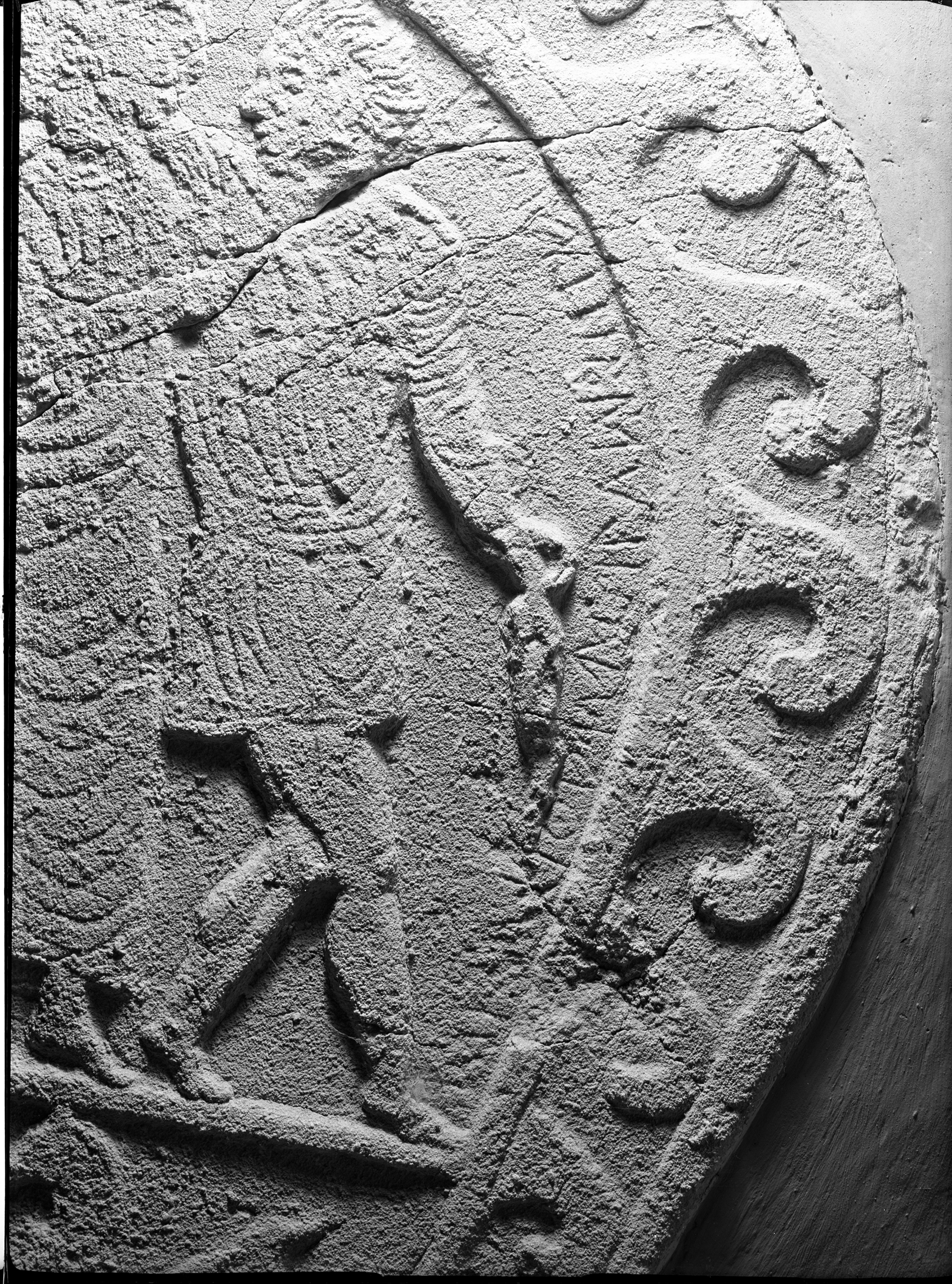 Bologna. Museo civico (lastra) di Anonimo (prima metà XX)