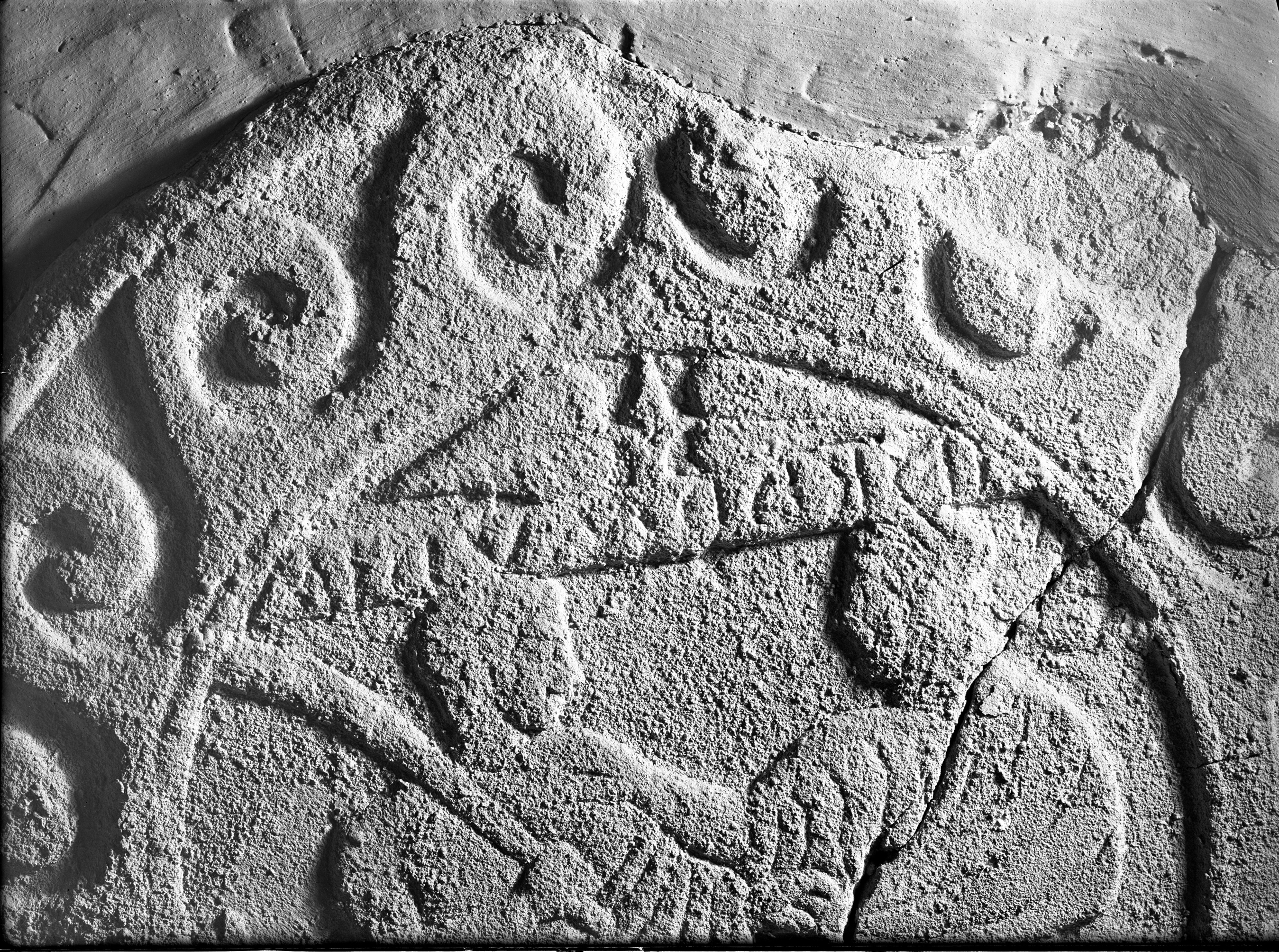 Bologna. Museo civico (lastra) di Anonimo (prima metà XX)