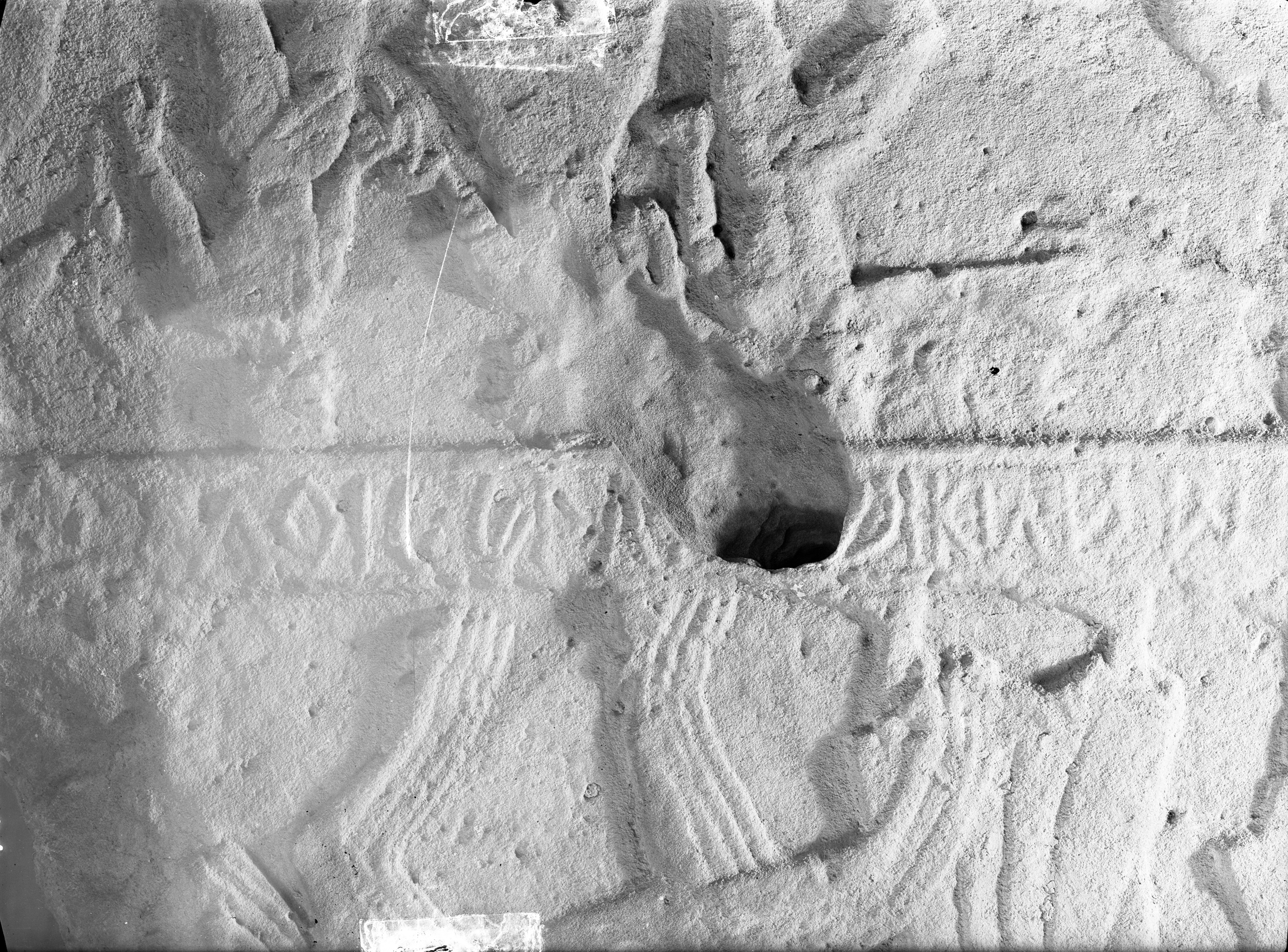 Bologna. Museo civico (lastra) di Anonimo (prima metà XX)