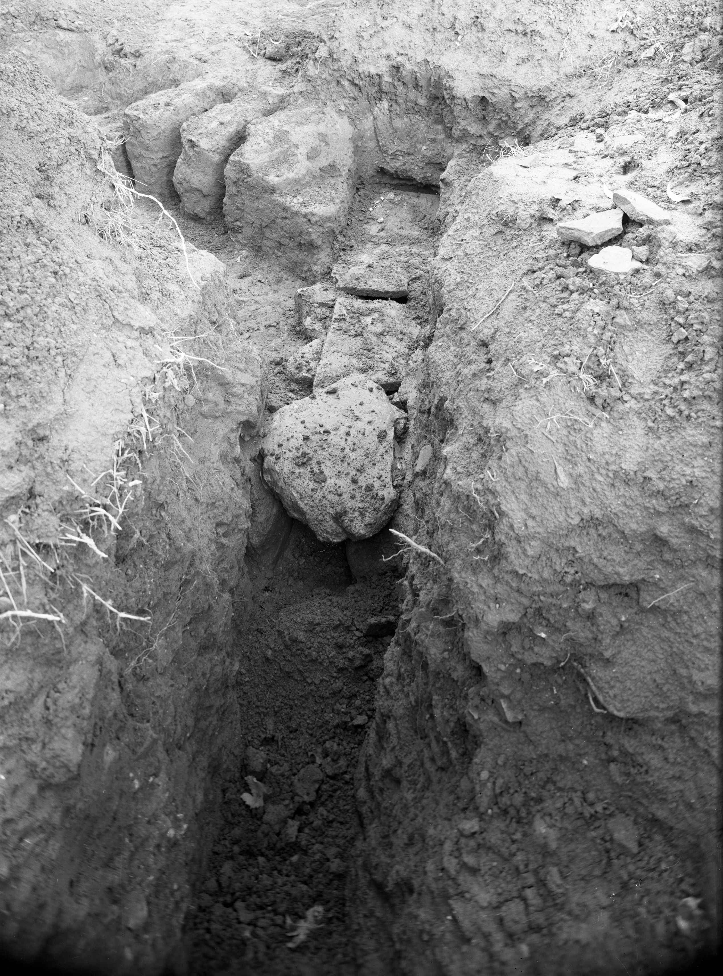 Casola Valsenio (lastra) di Anonimo (prima metà XX)