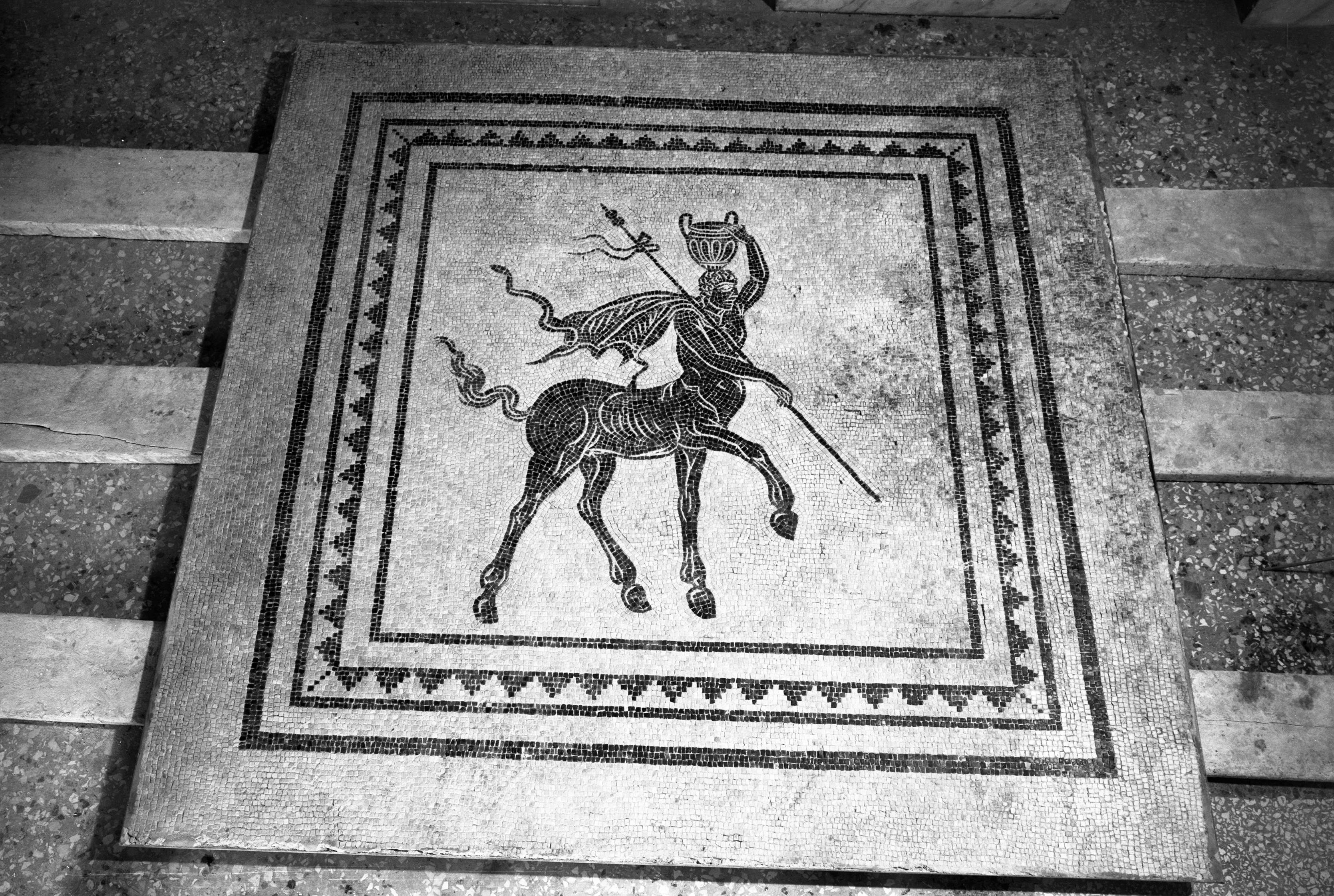 Parma. Museo Nazionale (lastra) di Anonimo (prima metà XX)