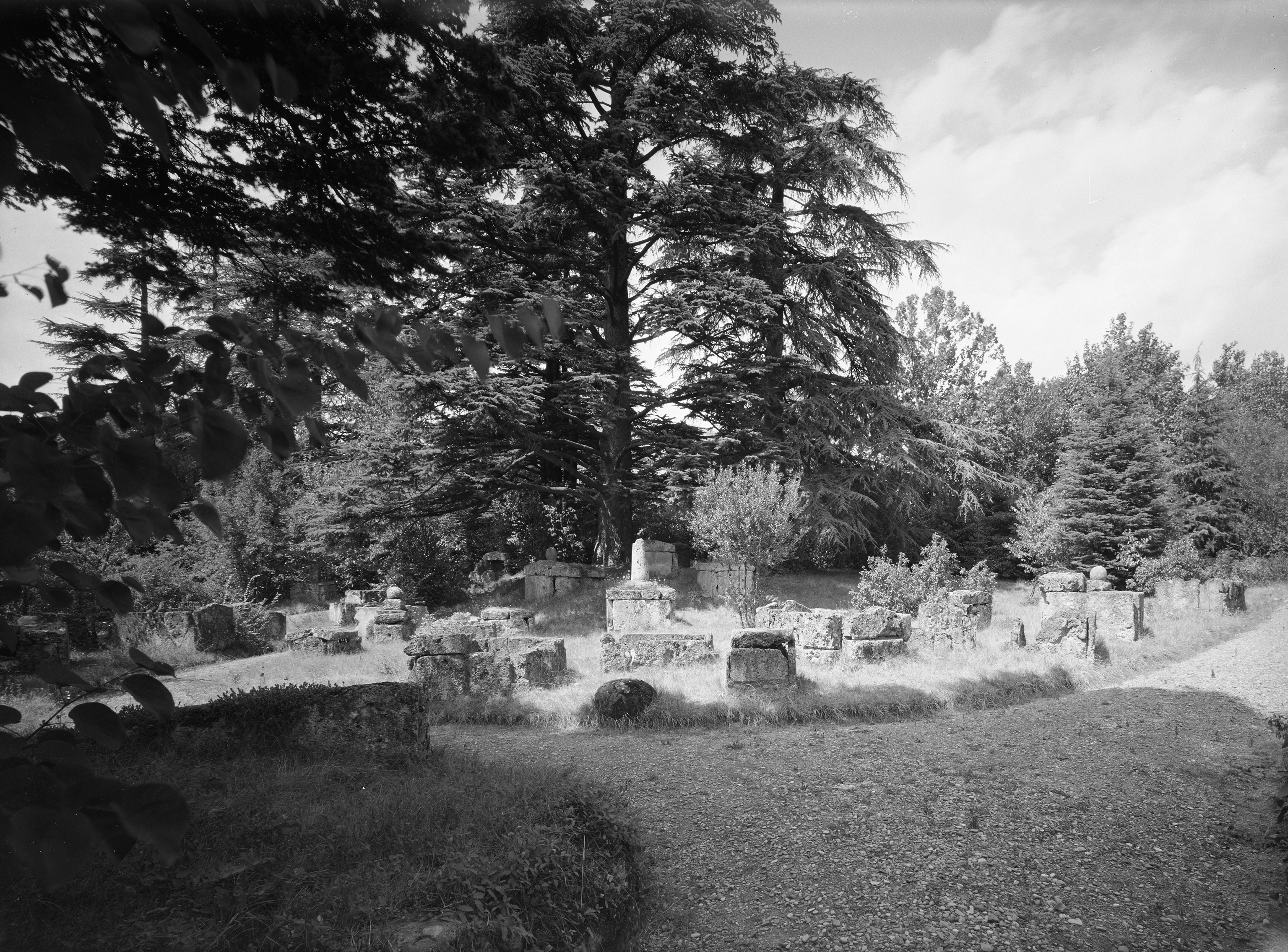 Marzabotto. Bo (lastra) di Anonimo (prima metà XX)