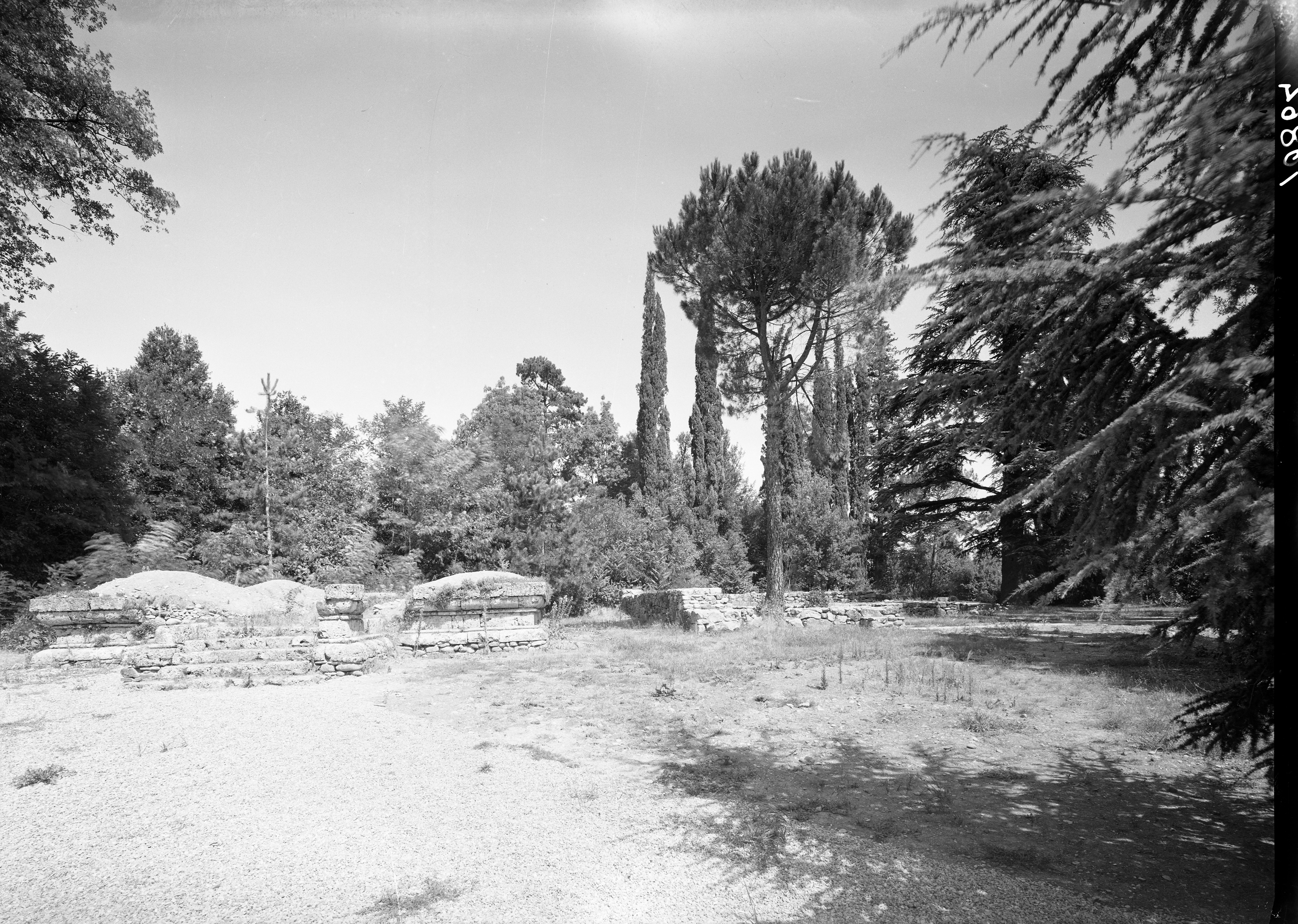 Marzabotto. Bo (lastra) di Anonimo (prima metà XX)