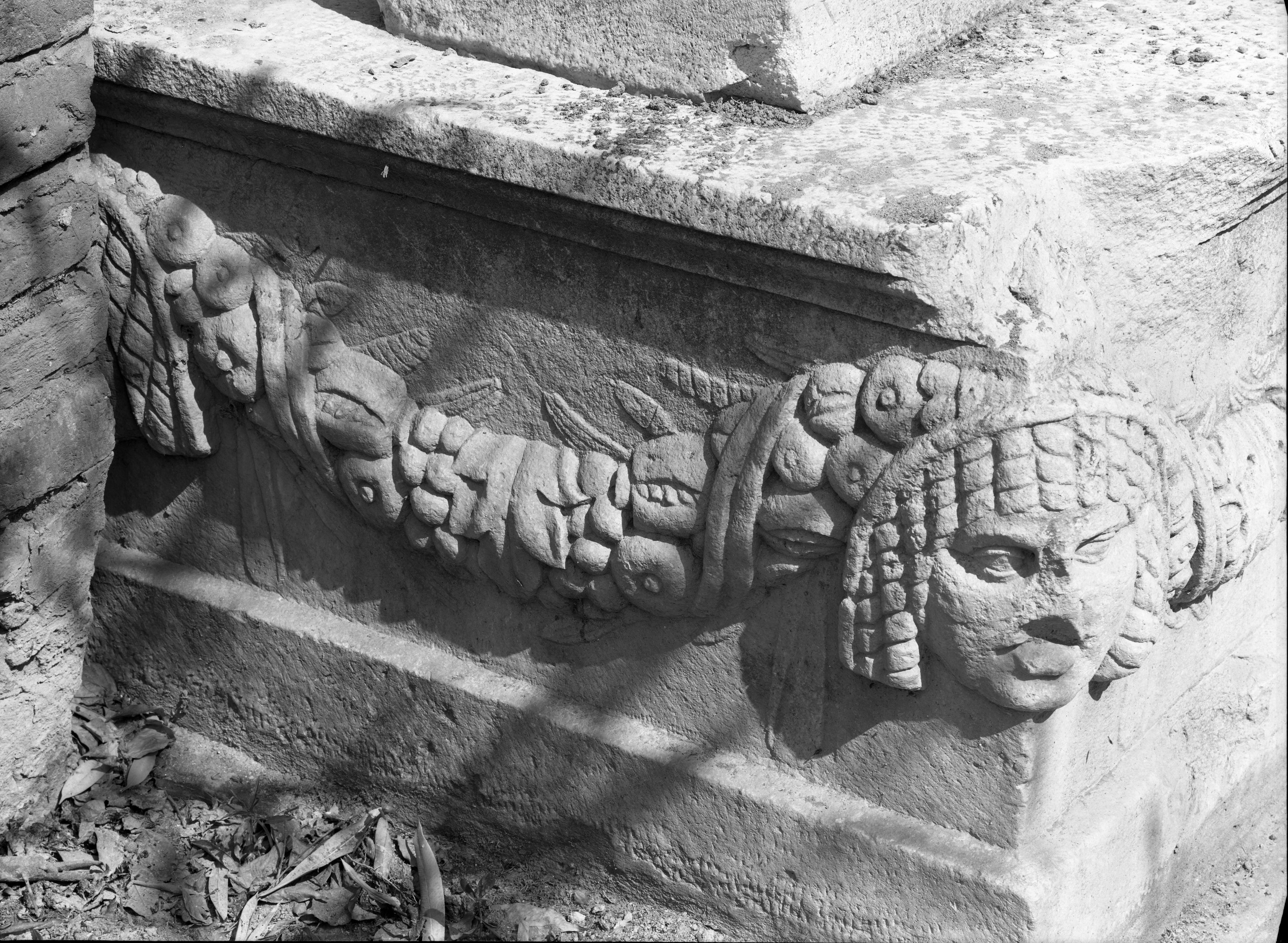 Cotignola (Ra) (lastra) di Anonimo (prima metà XX)