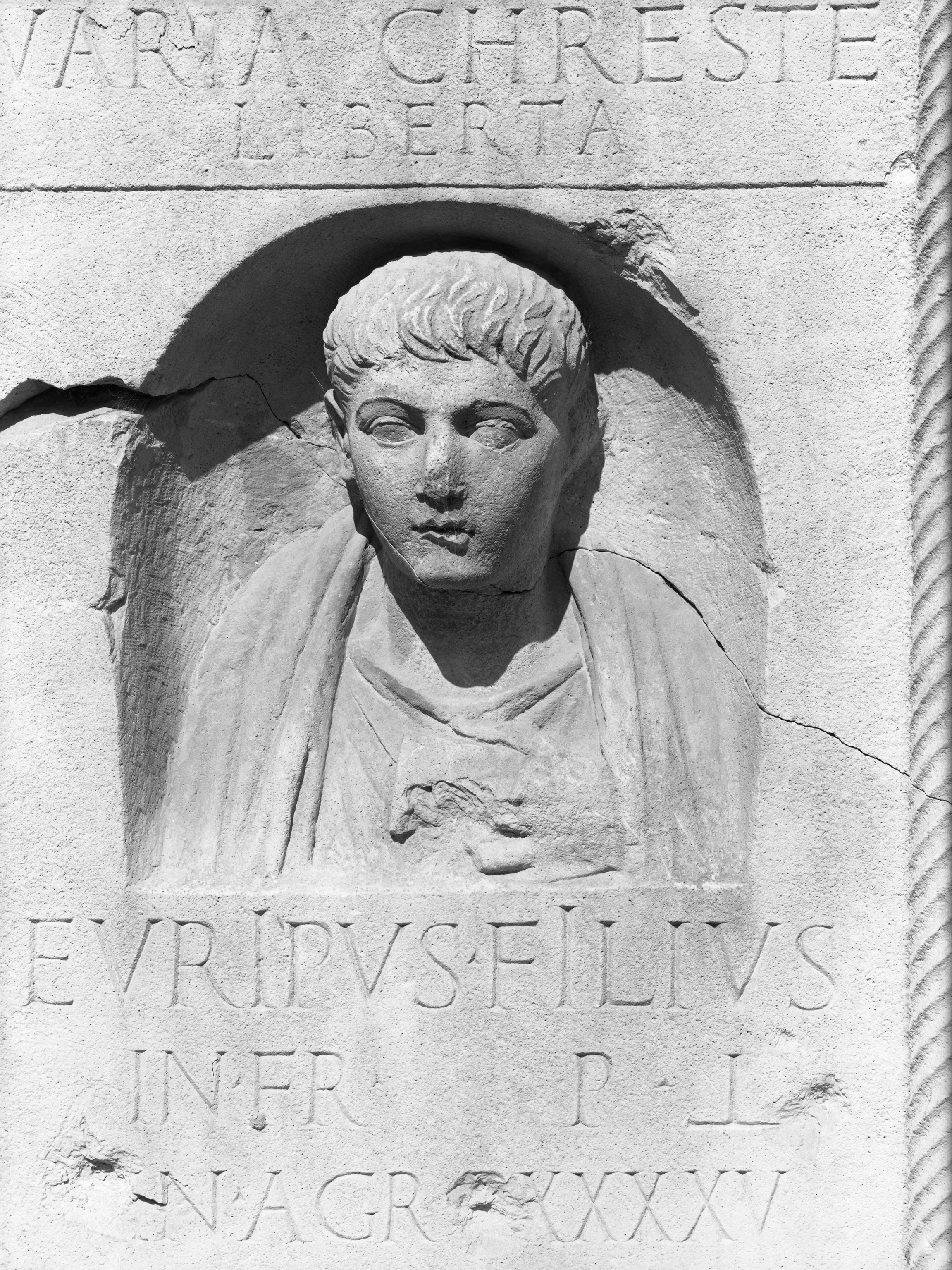 Cotignola (Ra) (lastra) di Anonimo (prima metà XX)