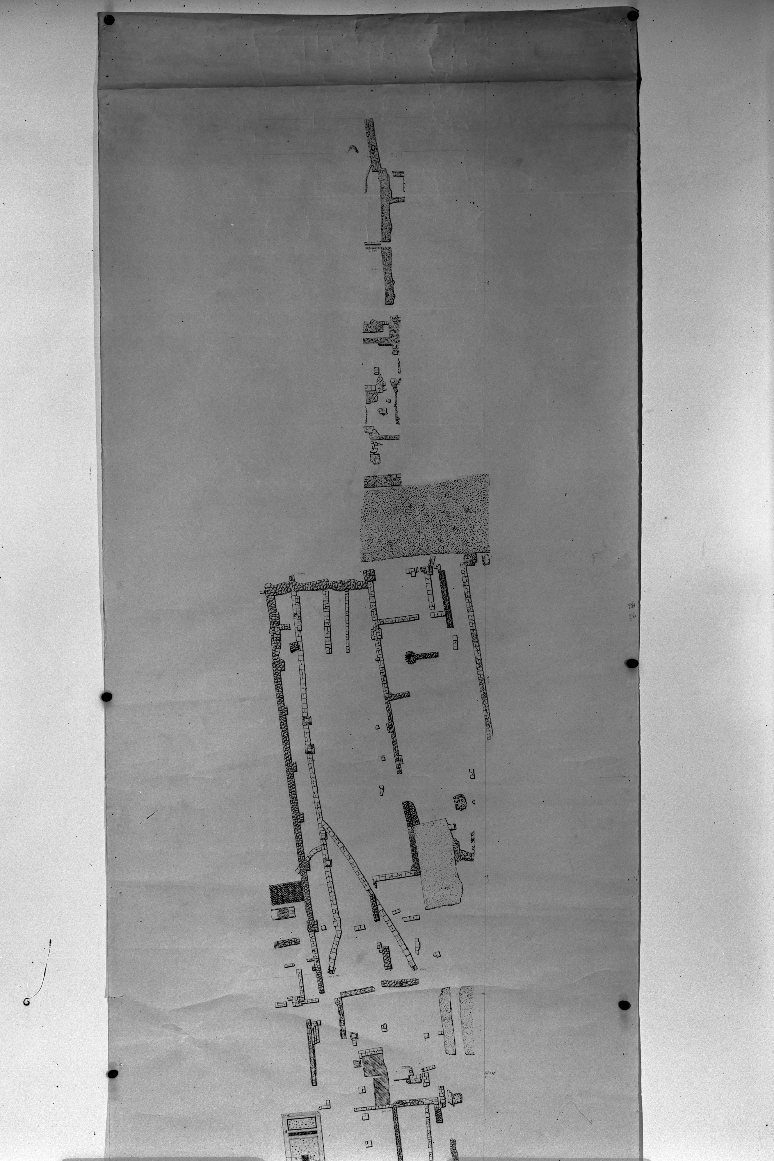 Claterna, Bologna (lastra) di Anonimo (prima metà XX)