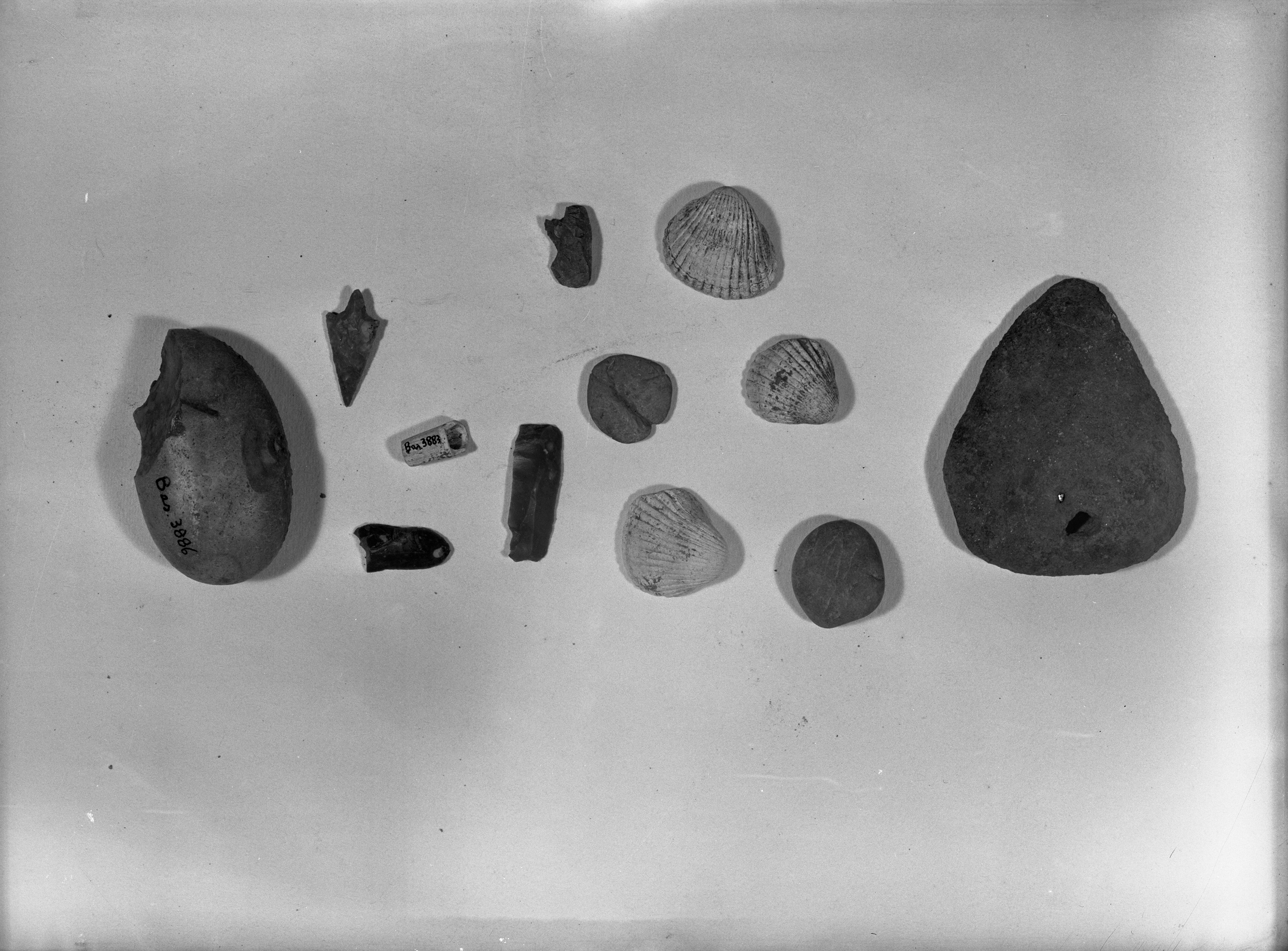 Basiago (Ra) (lastra) di Anonimo (prima metà XX)