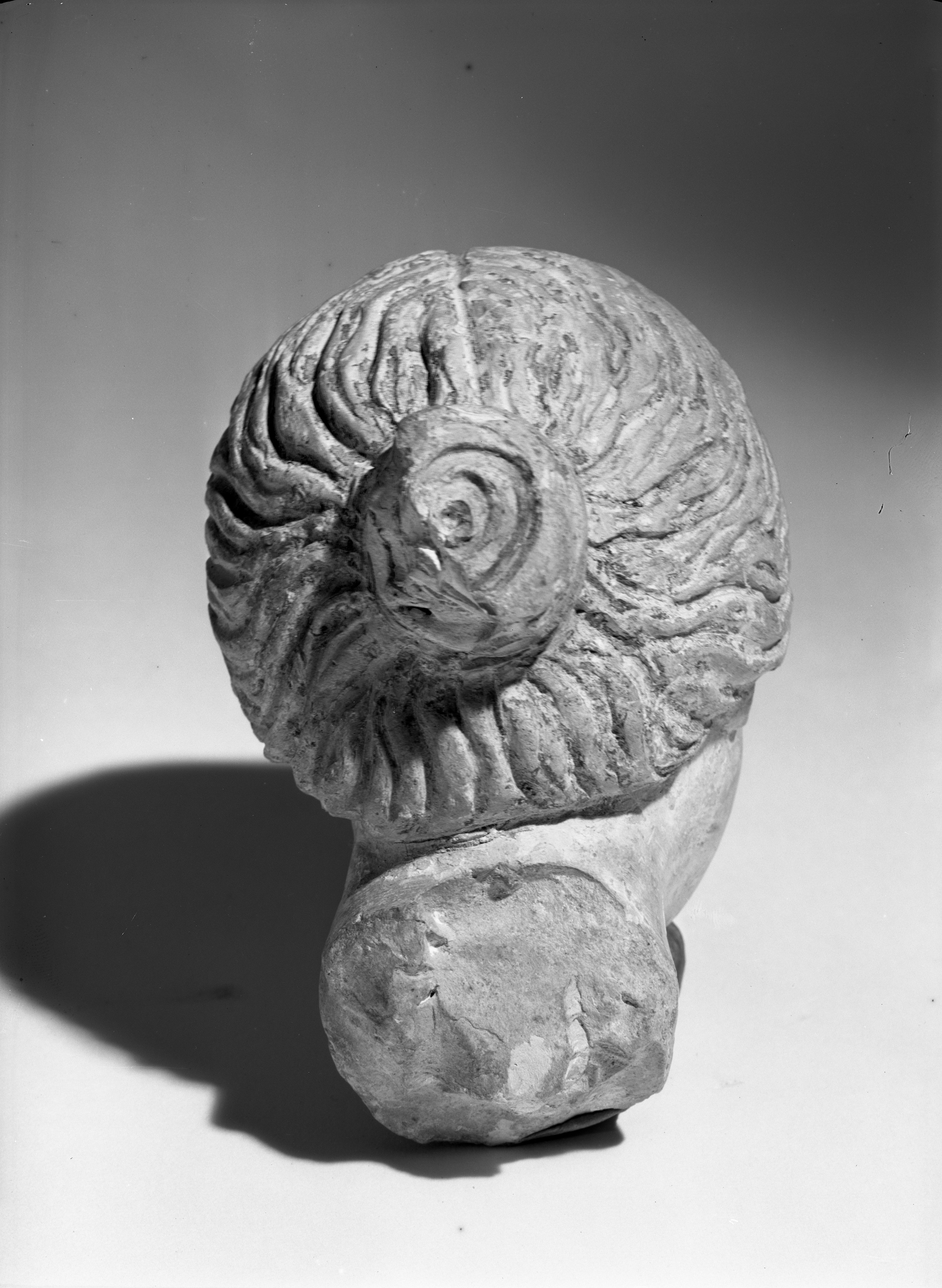 Riccione (lastra) di Anonimo (prima metà XX)