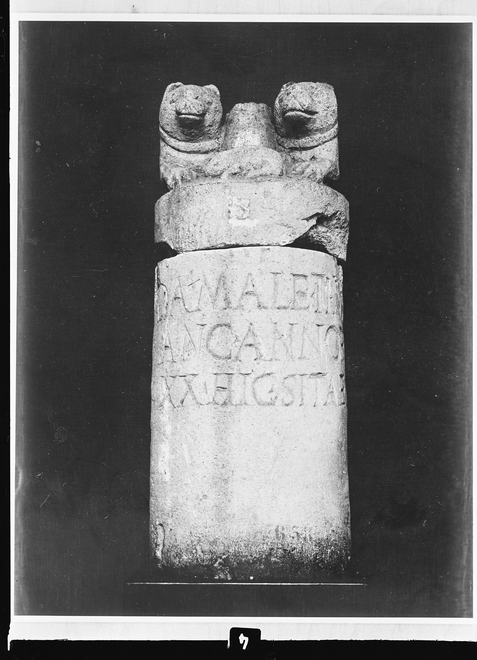 Vienna (lastra) di Anonimo (prima metà XX)