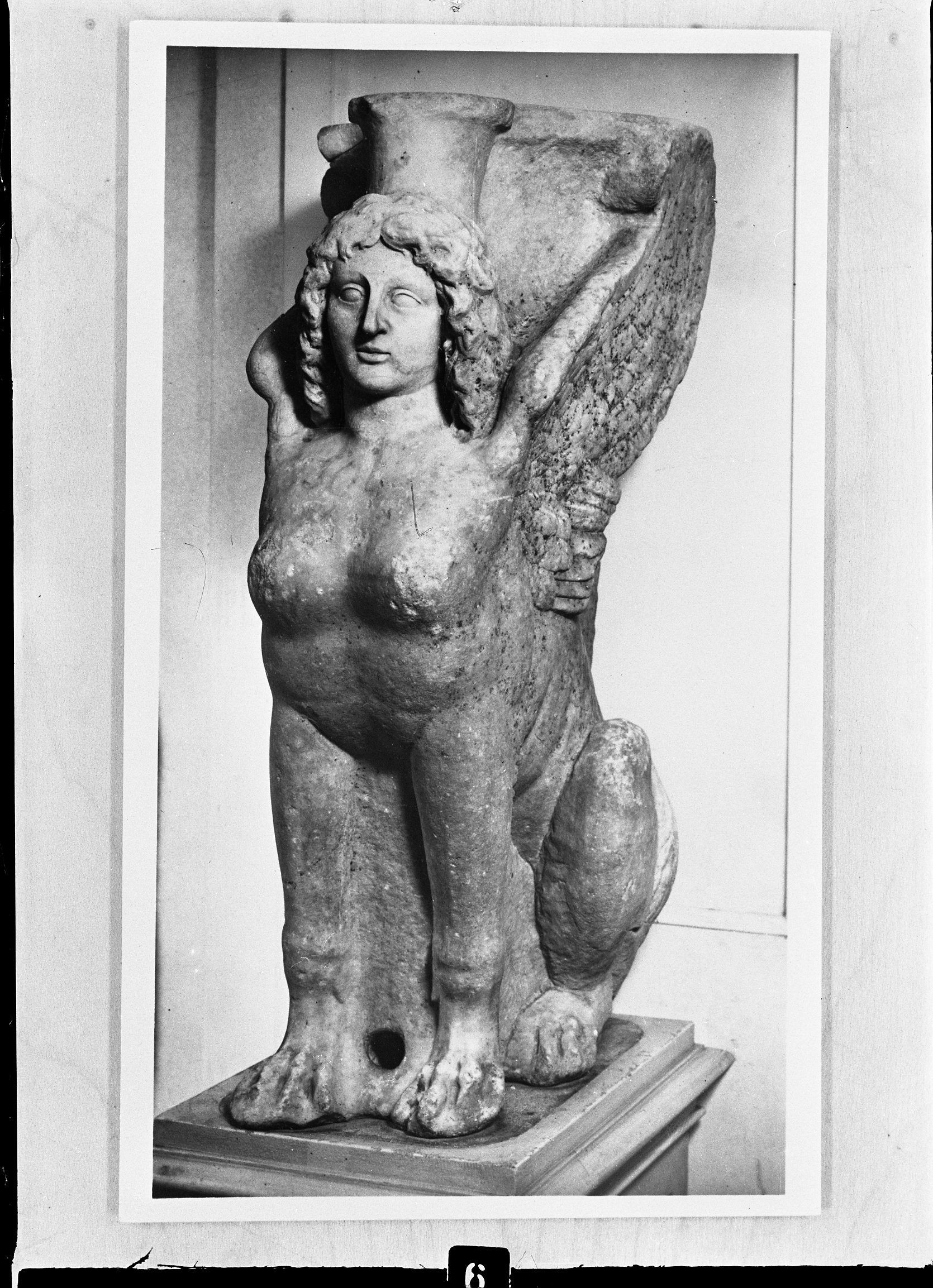 Vienna (lastra) di Anonimo (prima metà XX)