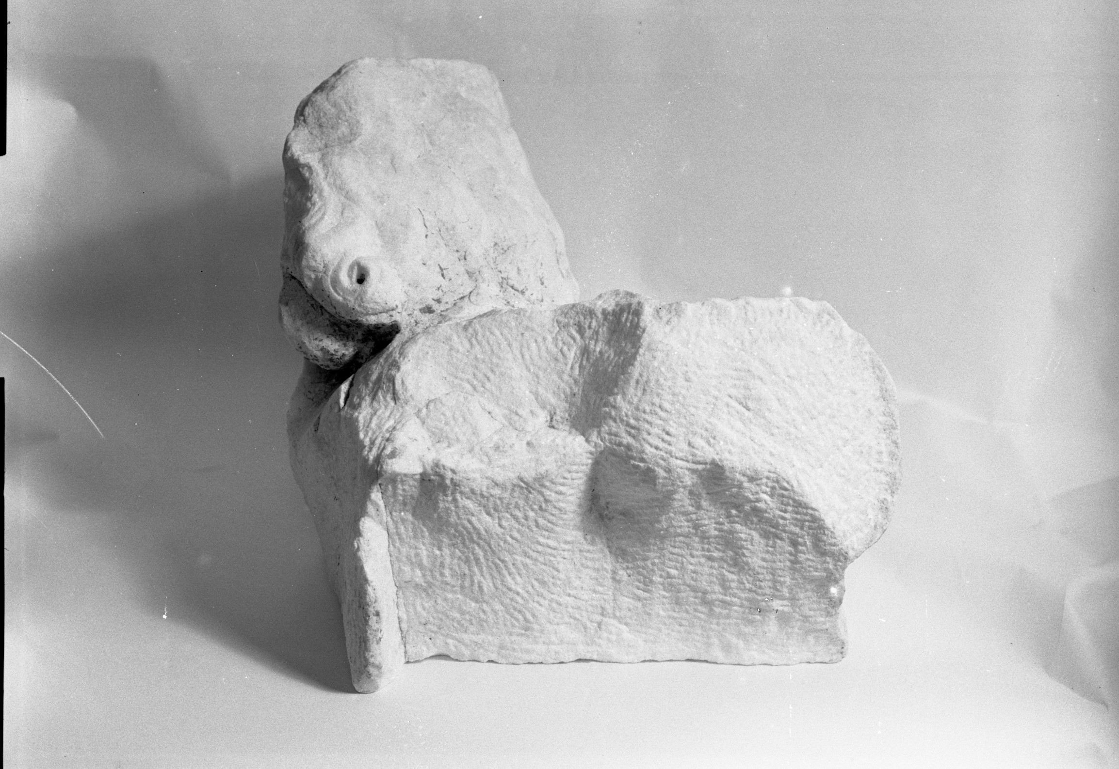 Sarsina. Museo (lastra) di Anonimo (prima metà XX)