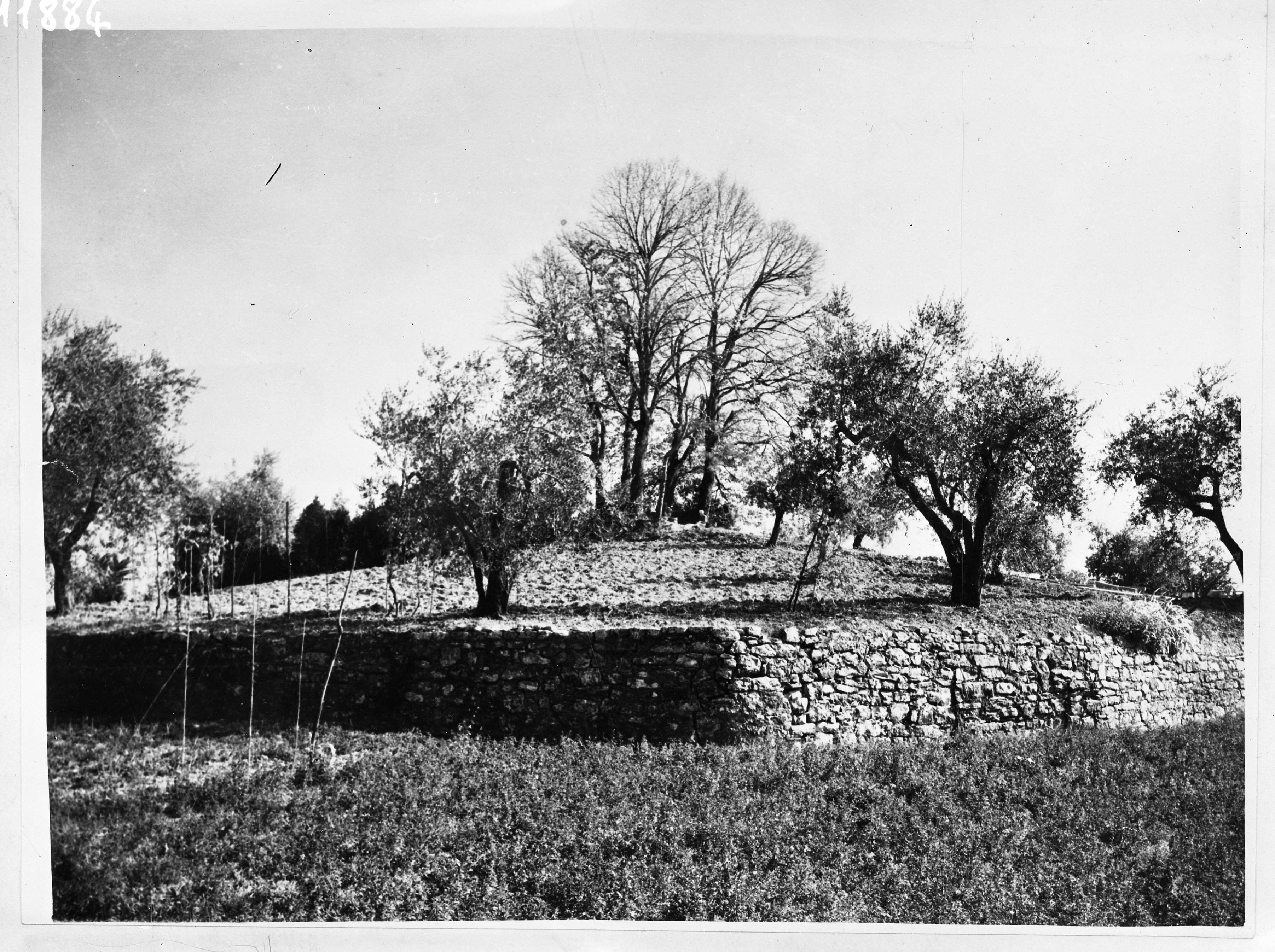Quinto fiorentino. Firenze (lastra) di Anonimo (prima metà XX)