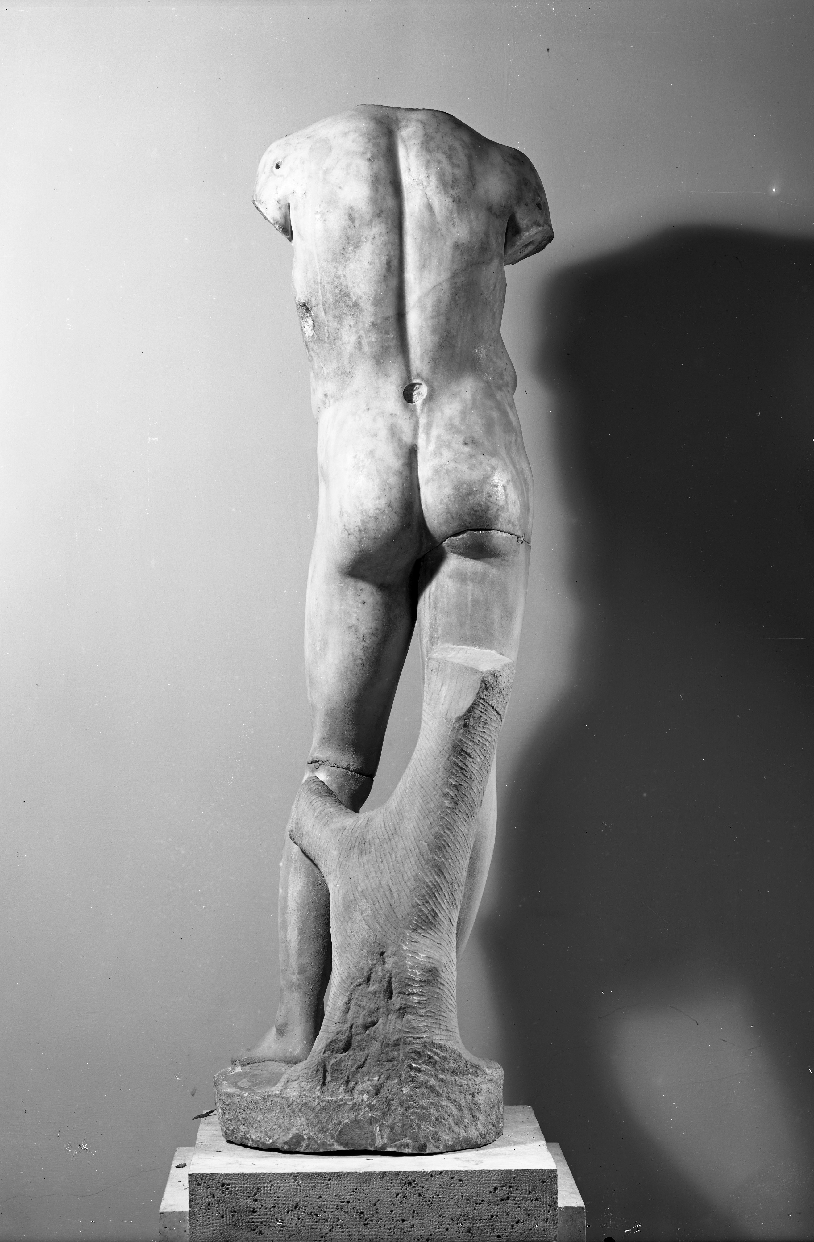 Parma. Museo Nazionale (lastra) di Anonimo (prima metà XX)