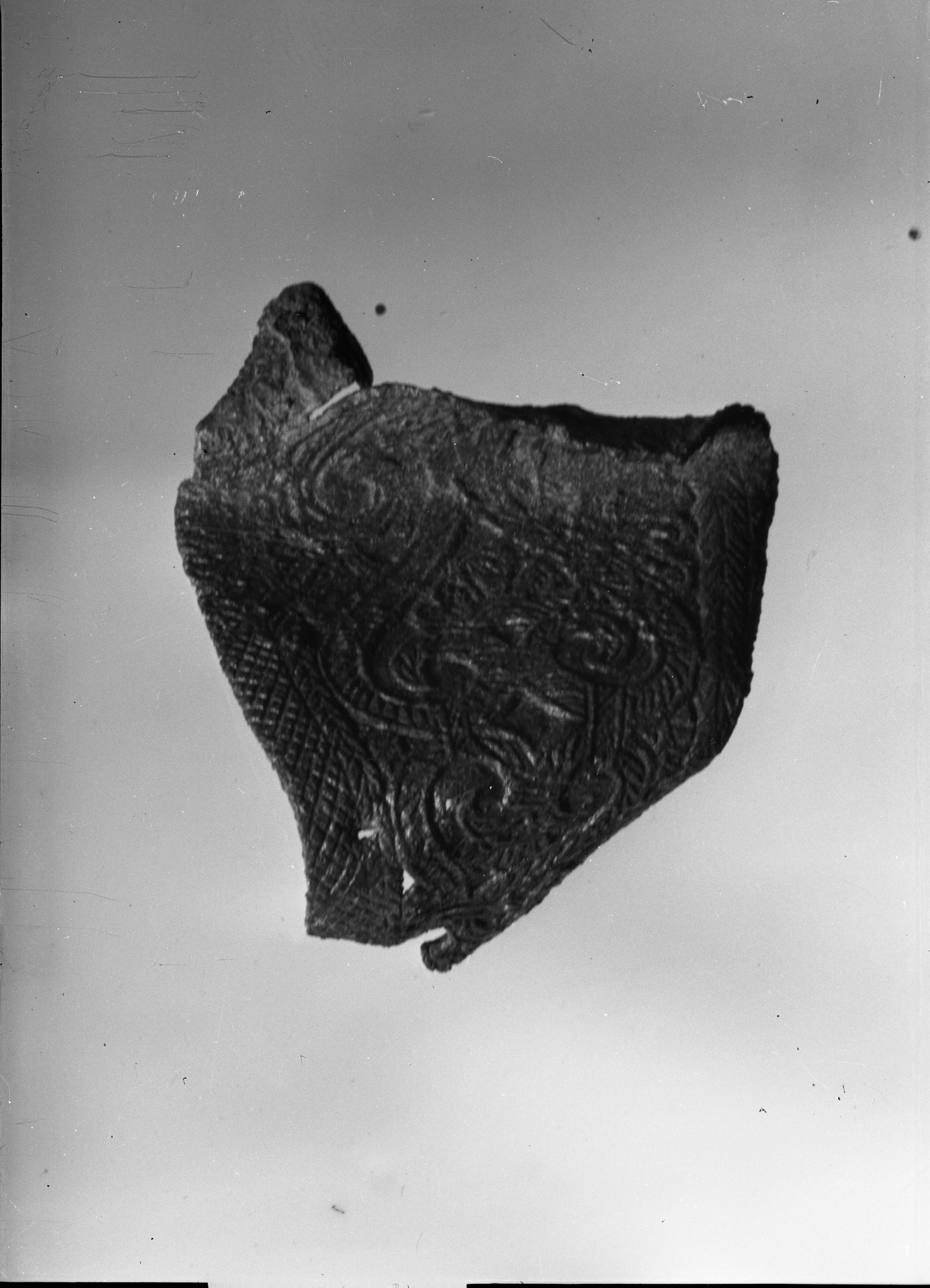 Firenze. Museo Nazionale (lastra) di Anonimo (prima metà XX)