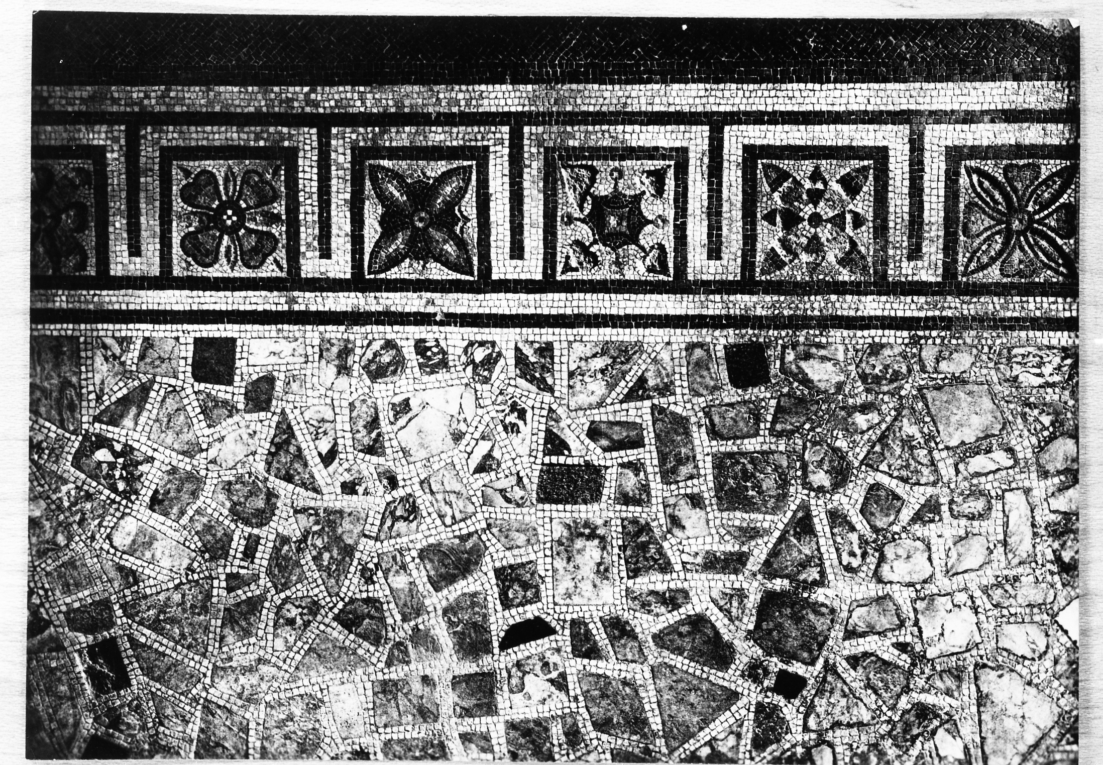 Cremona. Museo civico (lastra) di Anonimo (prima metà XX)