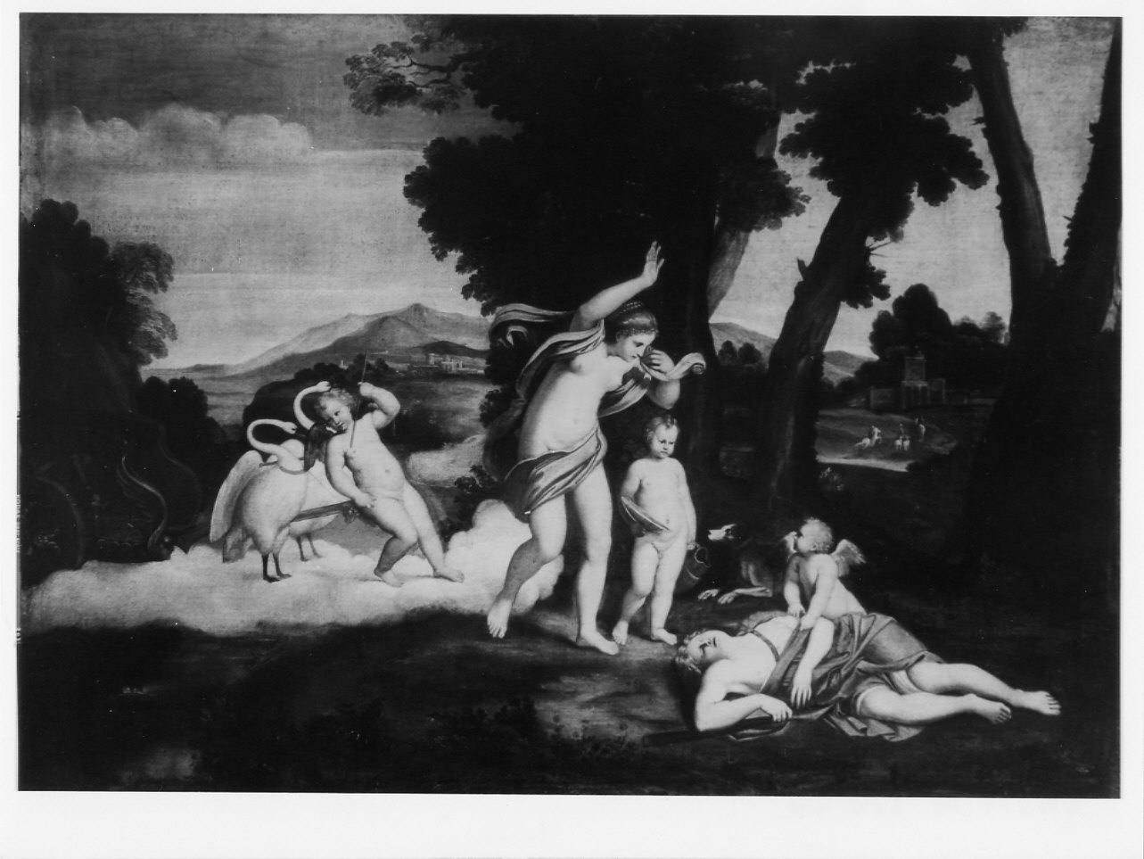 Venere che piange Adone (dipinto, opera isolata) di Zampieri Domenico detto Domenichino (secondo quarto sec. XVII)
