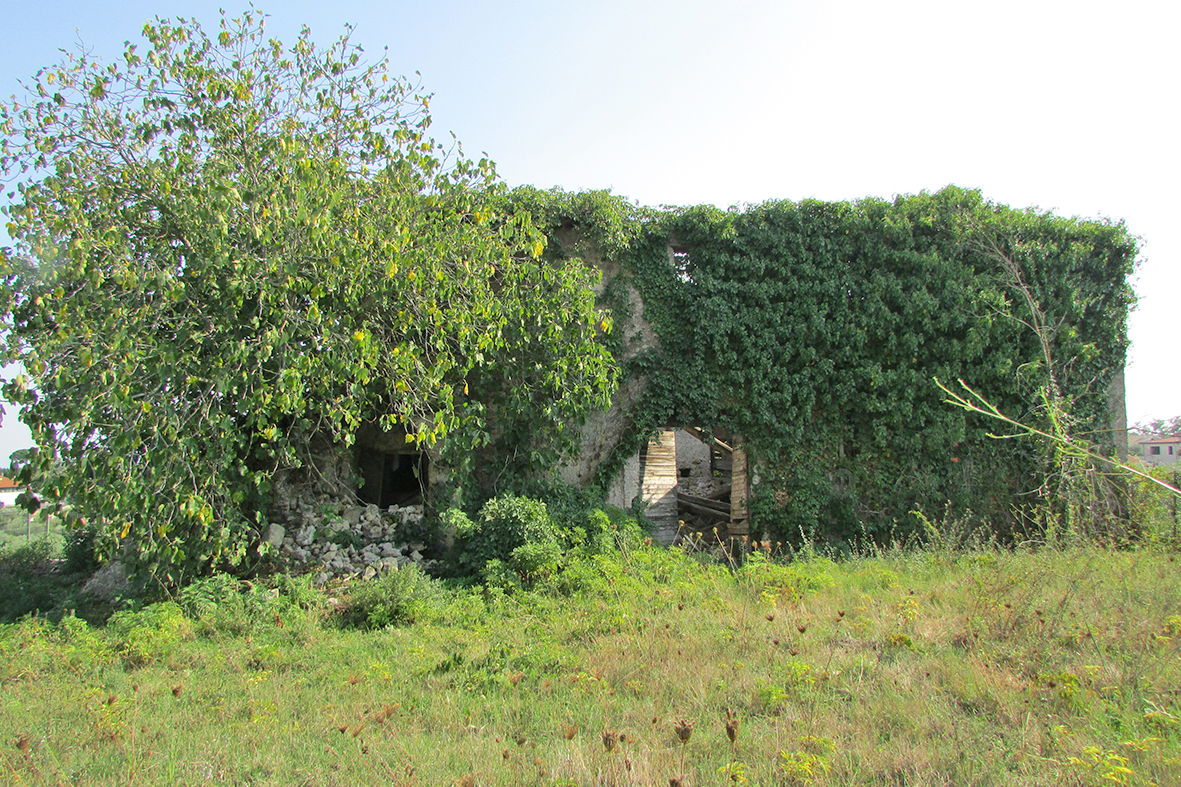 Casale Selviata (casale) - Formello (RM)  (XVII)