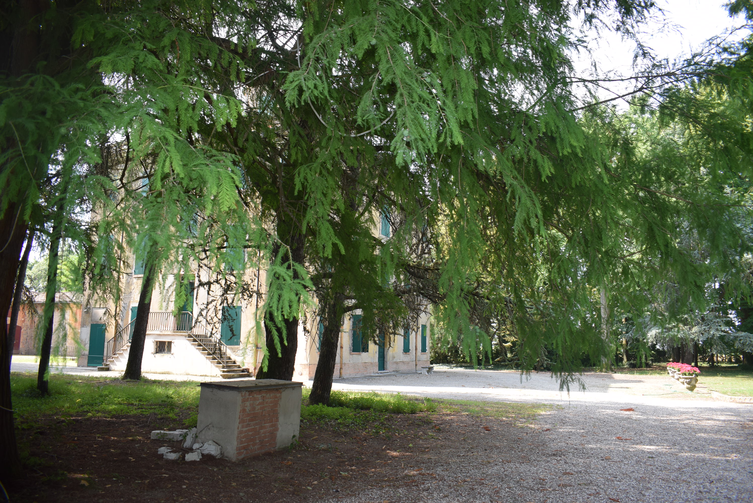 Villa Rizzi Salimbeni (villa, con parco) - Nonantola (MO) 