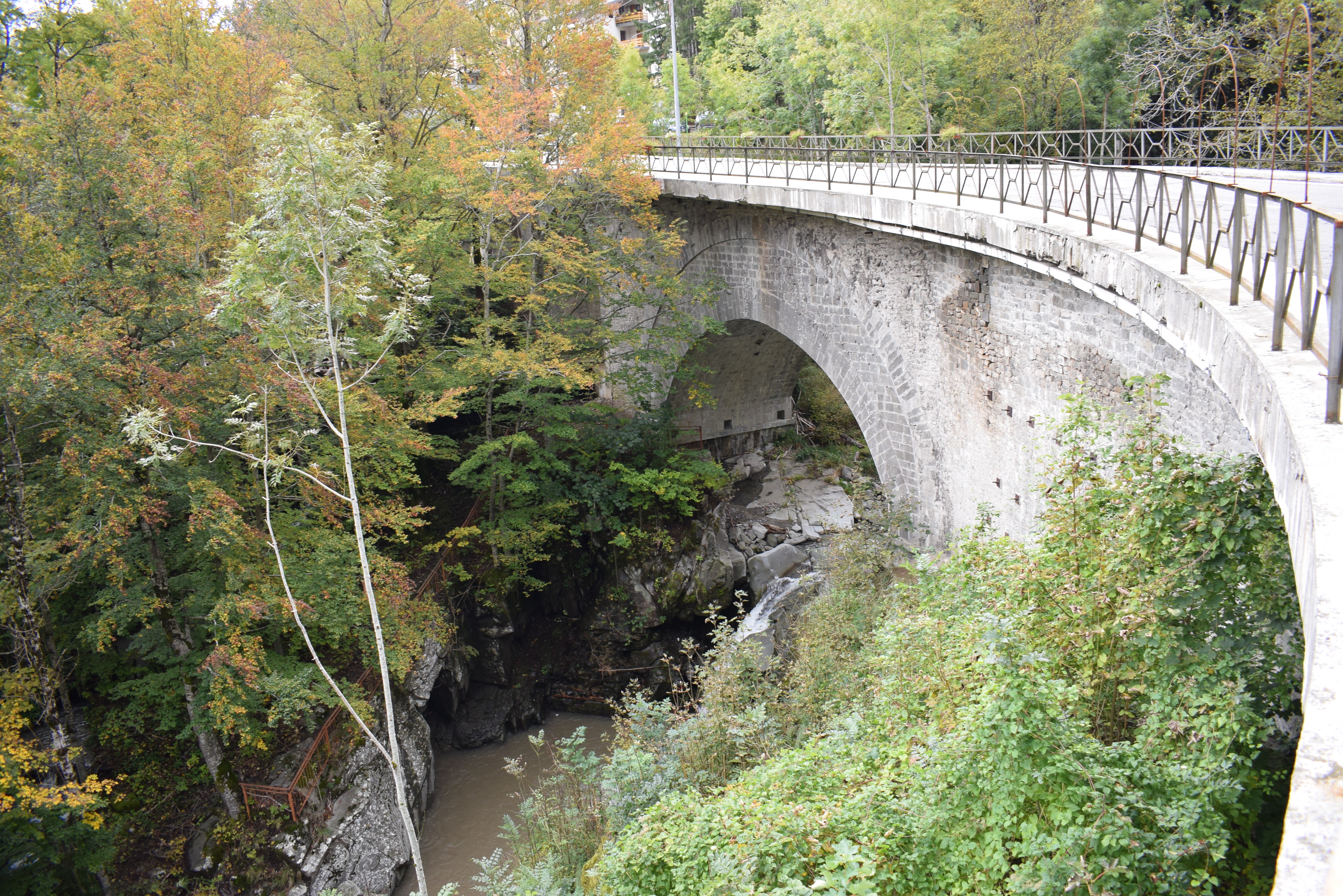 Ponte Picchiasassi (ponte) - Fiumalbo (MO)  (sec. XVIII, terzo quarto)