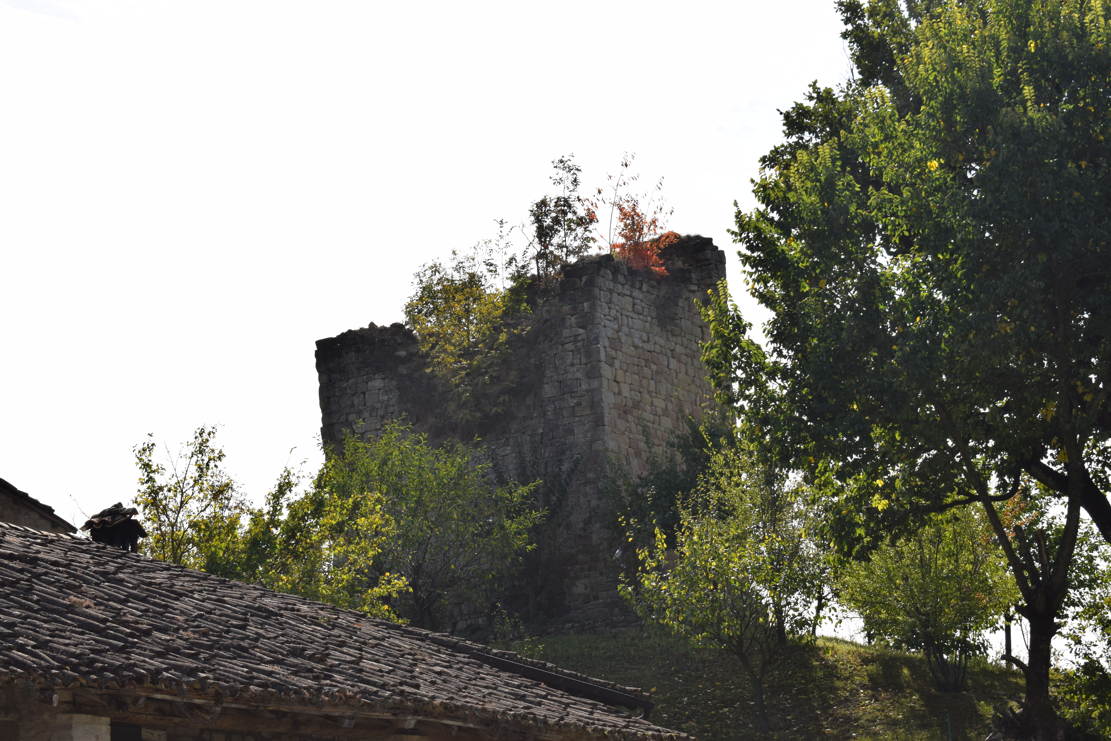 Torre di Niviano (torre, fortificata) - Pavullo nel Frignano (MO) 