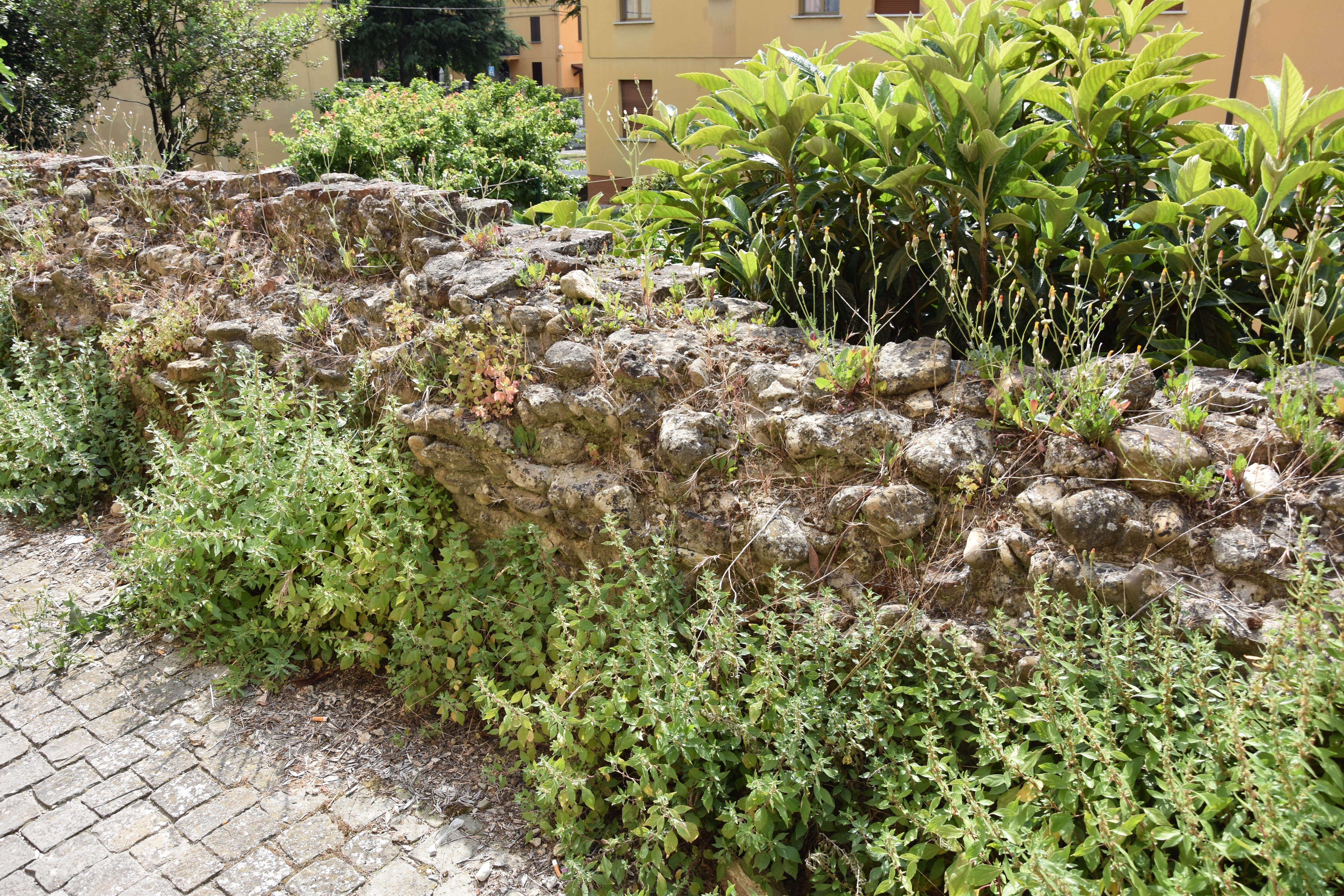 Resti del Castello di Castel San Pietro (ruderi) - Castel San Pietro Terme (BO) 