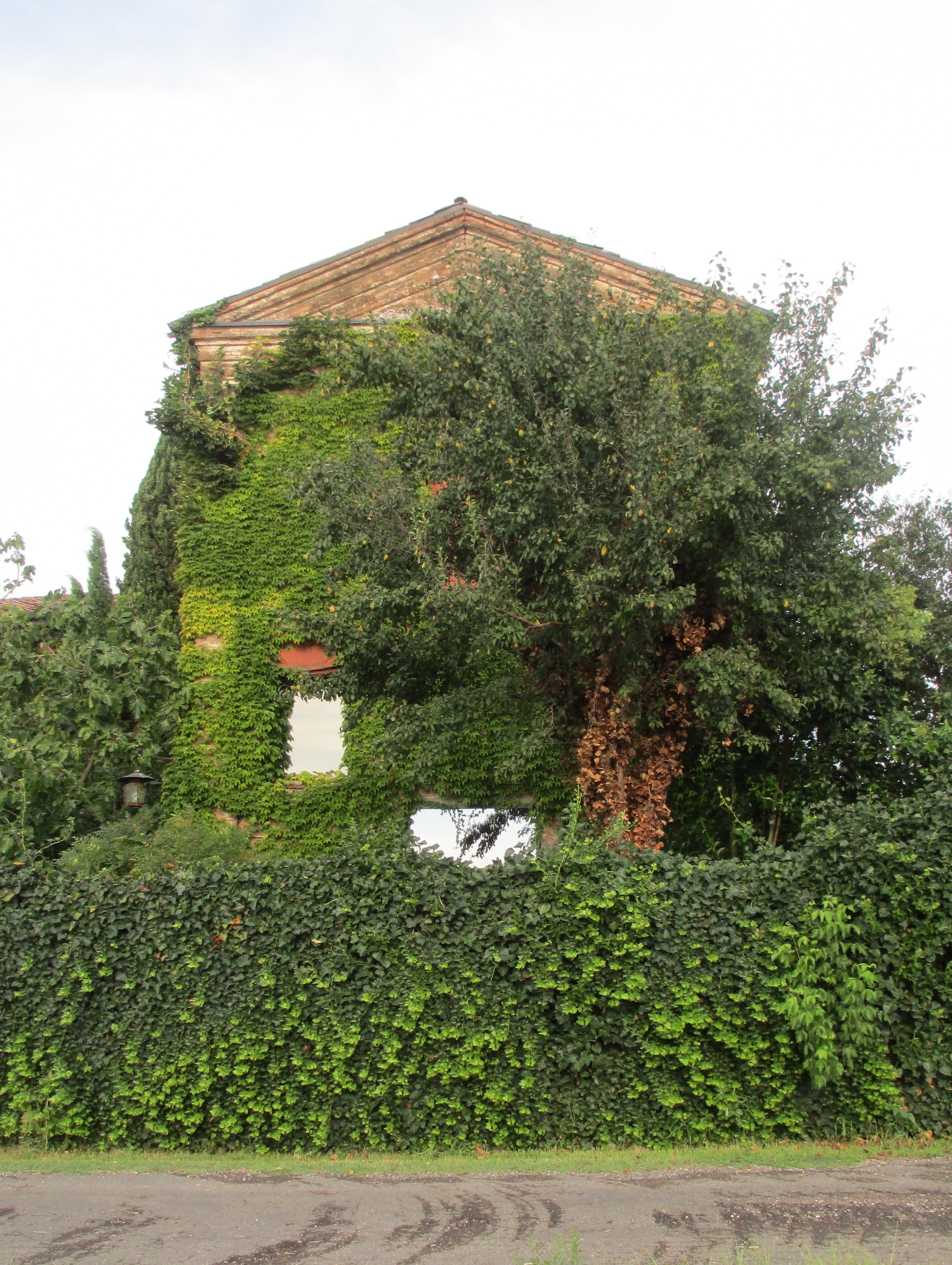 Oratorio di S. Anna (oratorio) - Crevalcore (BO) 