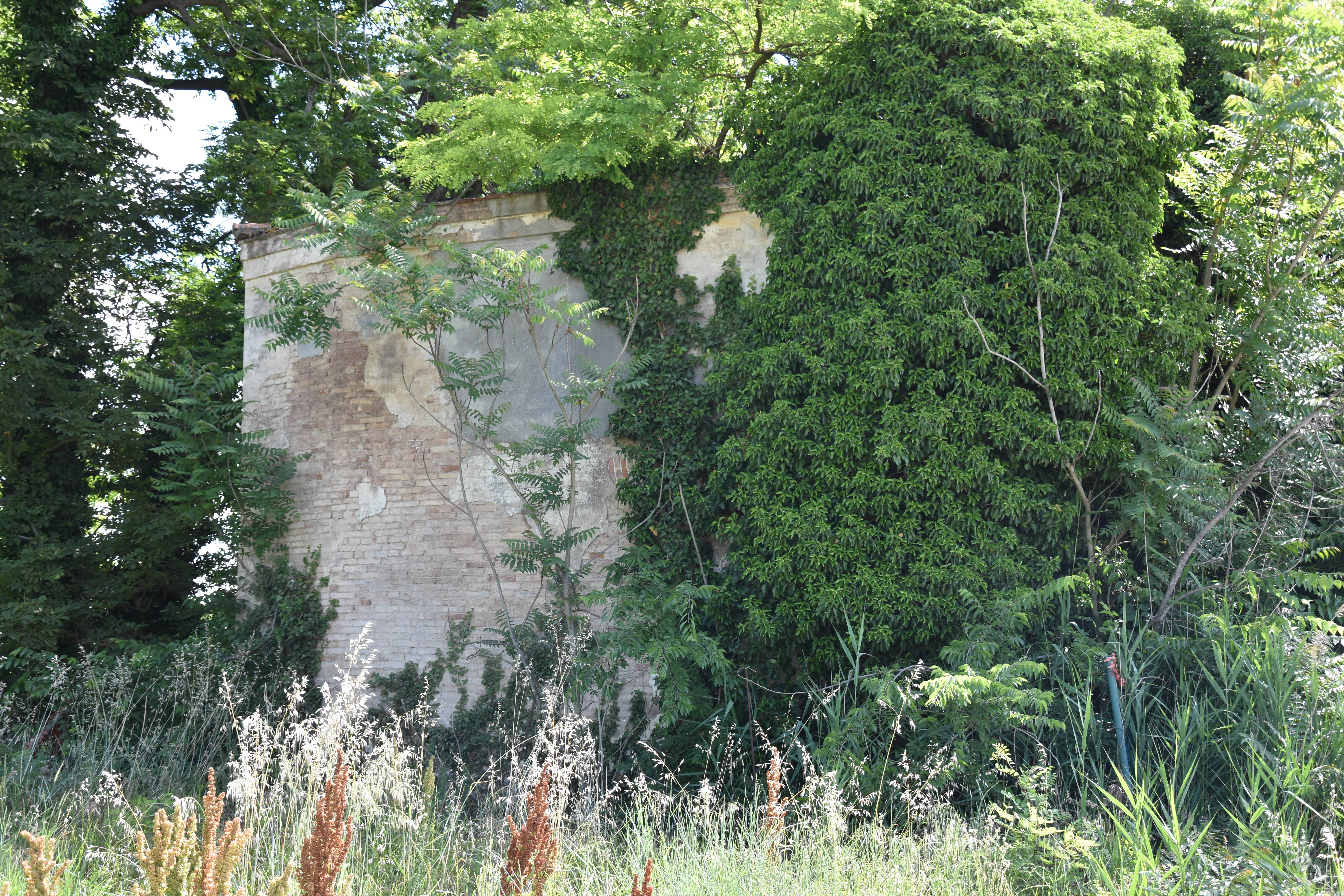 Oratorio della Natività di Maria (oratorio) - San Pietro in Casale (BO) 
