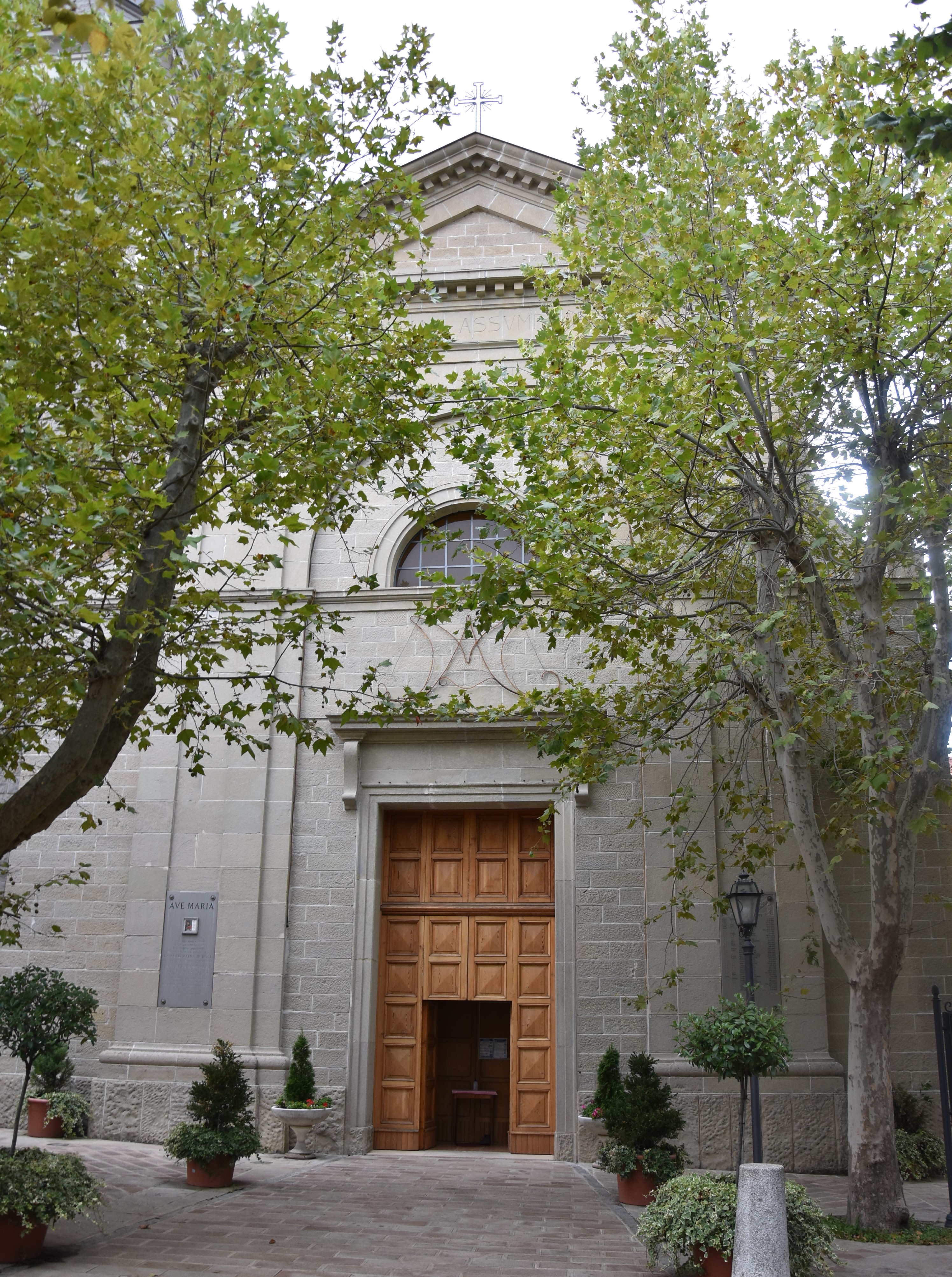 Chiesa di S. Maria Assunta (chiesa, parrocchiale) - Vergato (BO) 