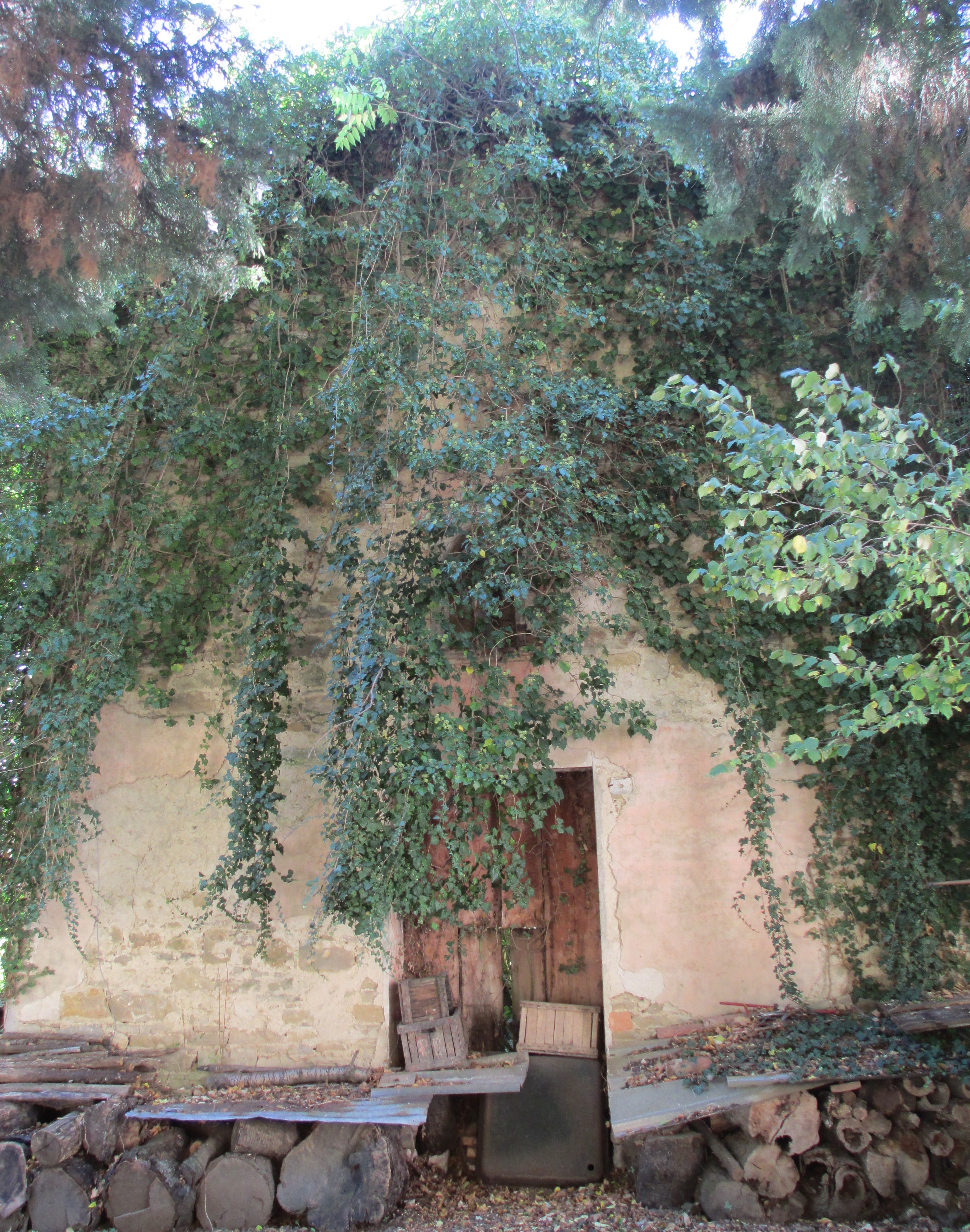 Chiesa antica di San Biagio Vescovo e Martire (chiesa) - Valsamoggia (BO) 