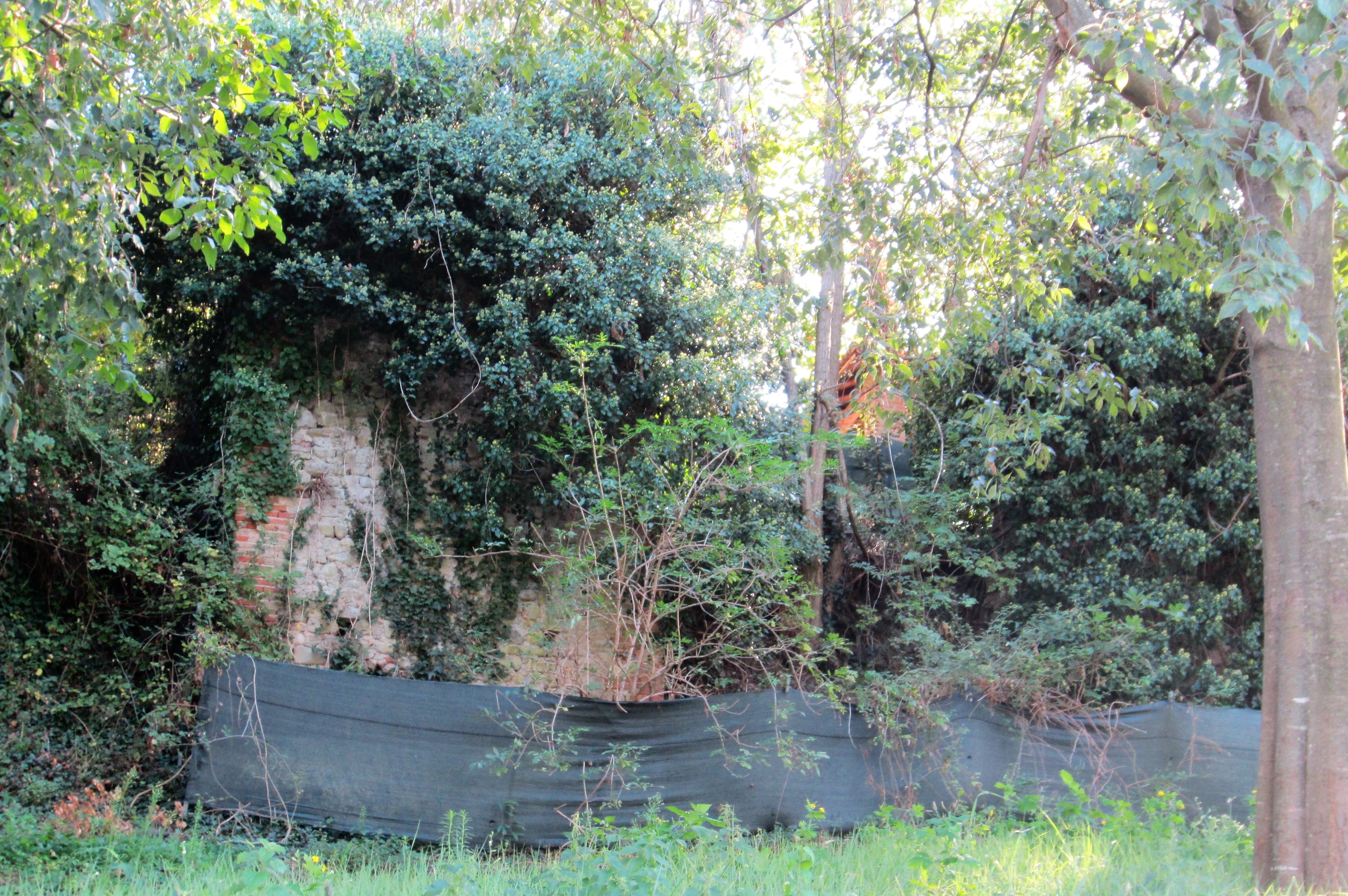 Resti del Castello di Varignana (ruderi) - Castel San Pietro Terme (BO) 